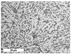 Metals 10 00974 i009 Metals 10 00974 i009