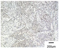 Metals 10 00974 i016 Metals 10 00974 i016