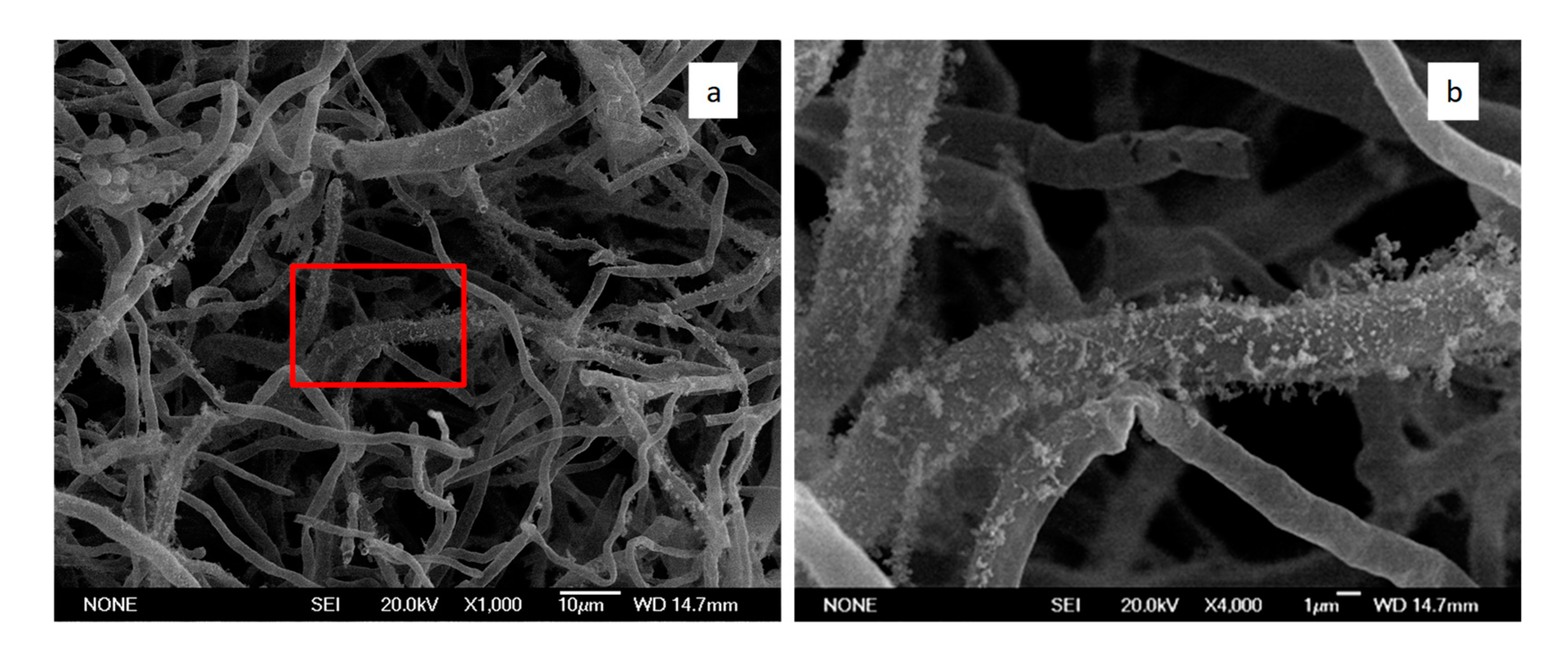 Metals 10 00978 g005