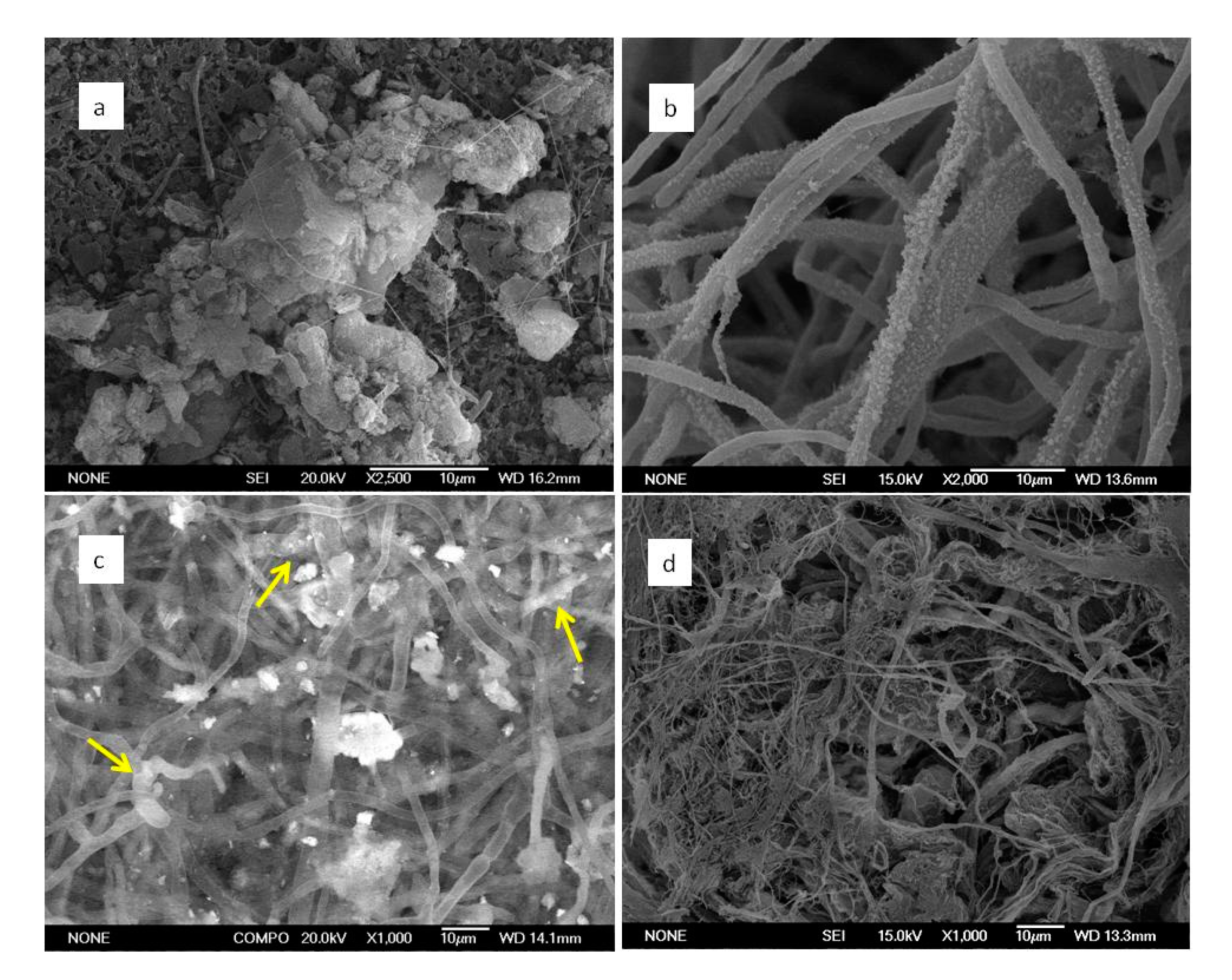 Metals 10 00978 g008