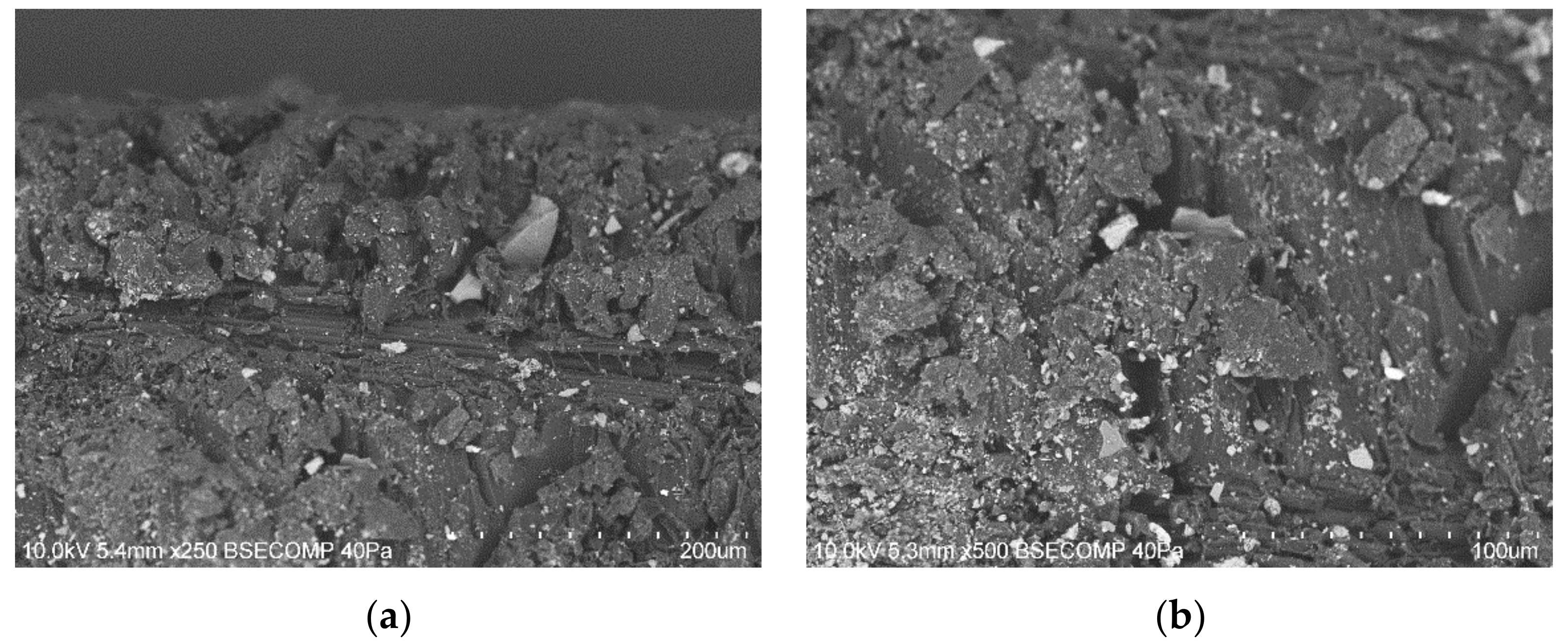 Metals 10 00983 g004