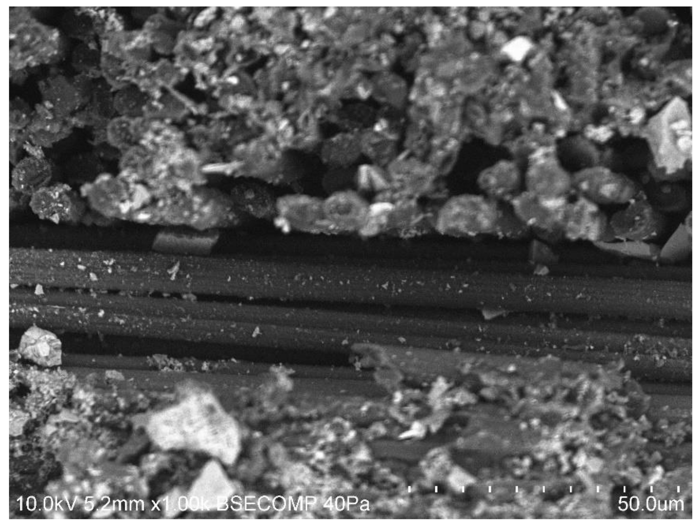 Metals 10 00983 g010