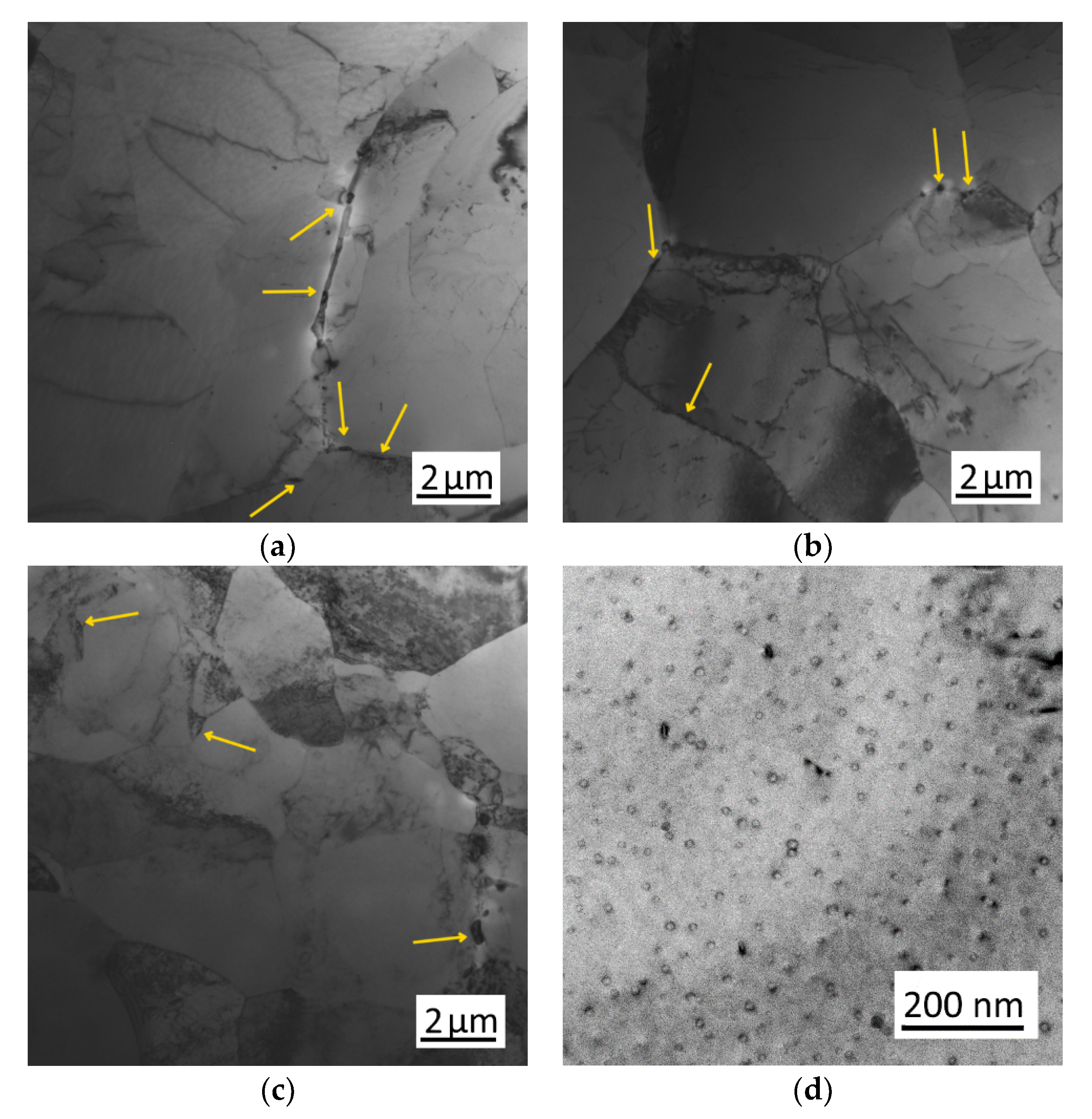 Metals 10 00987 g007
