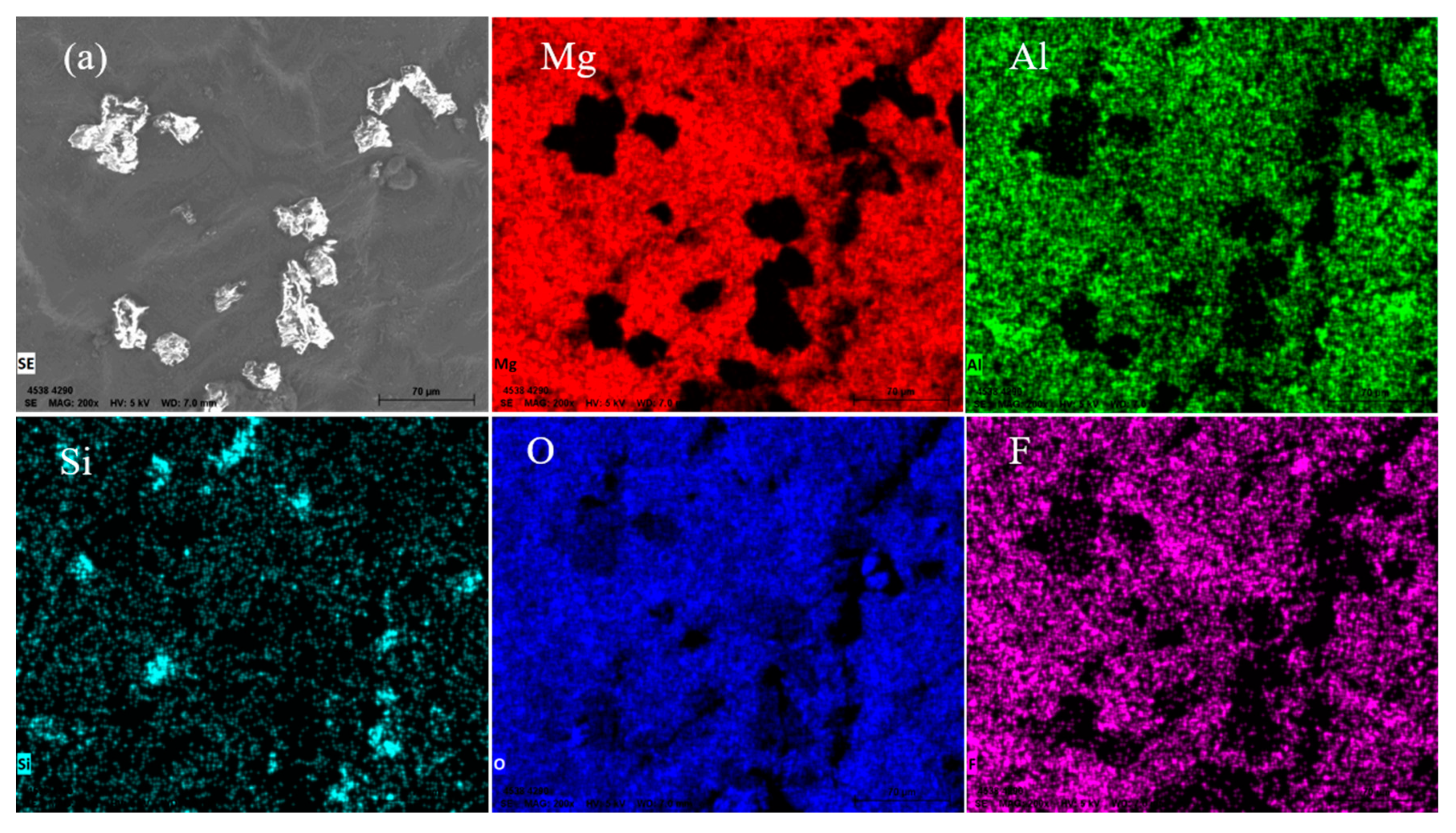 Metals 10 00991 g005a