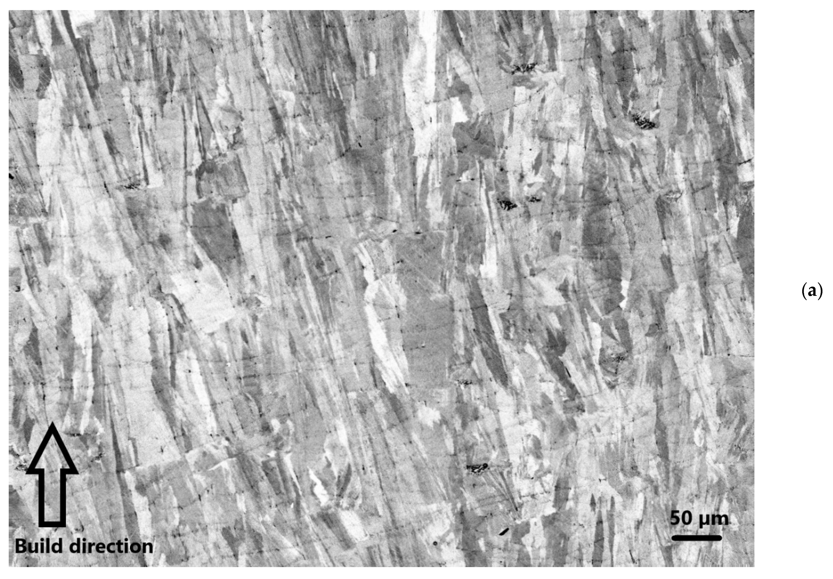 Metals 10 00996 g010a