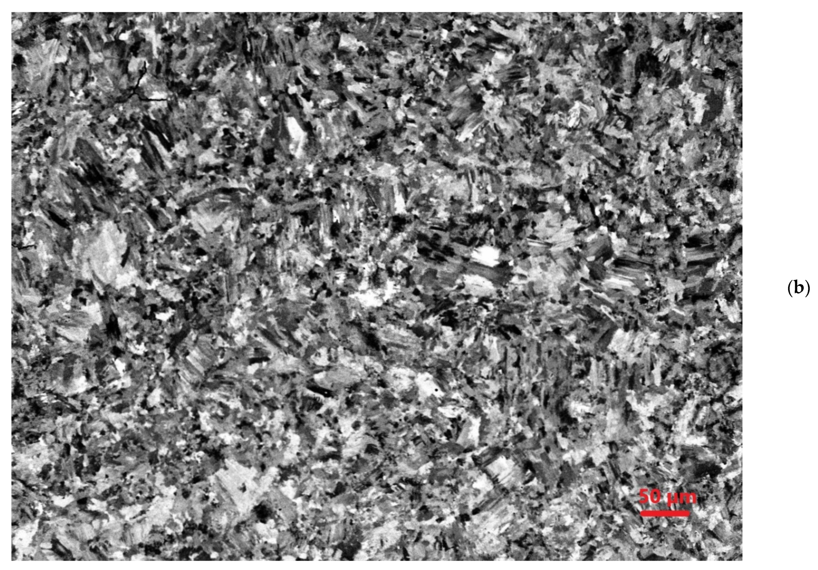 Metals 10 00996 g010b