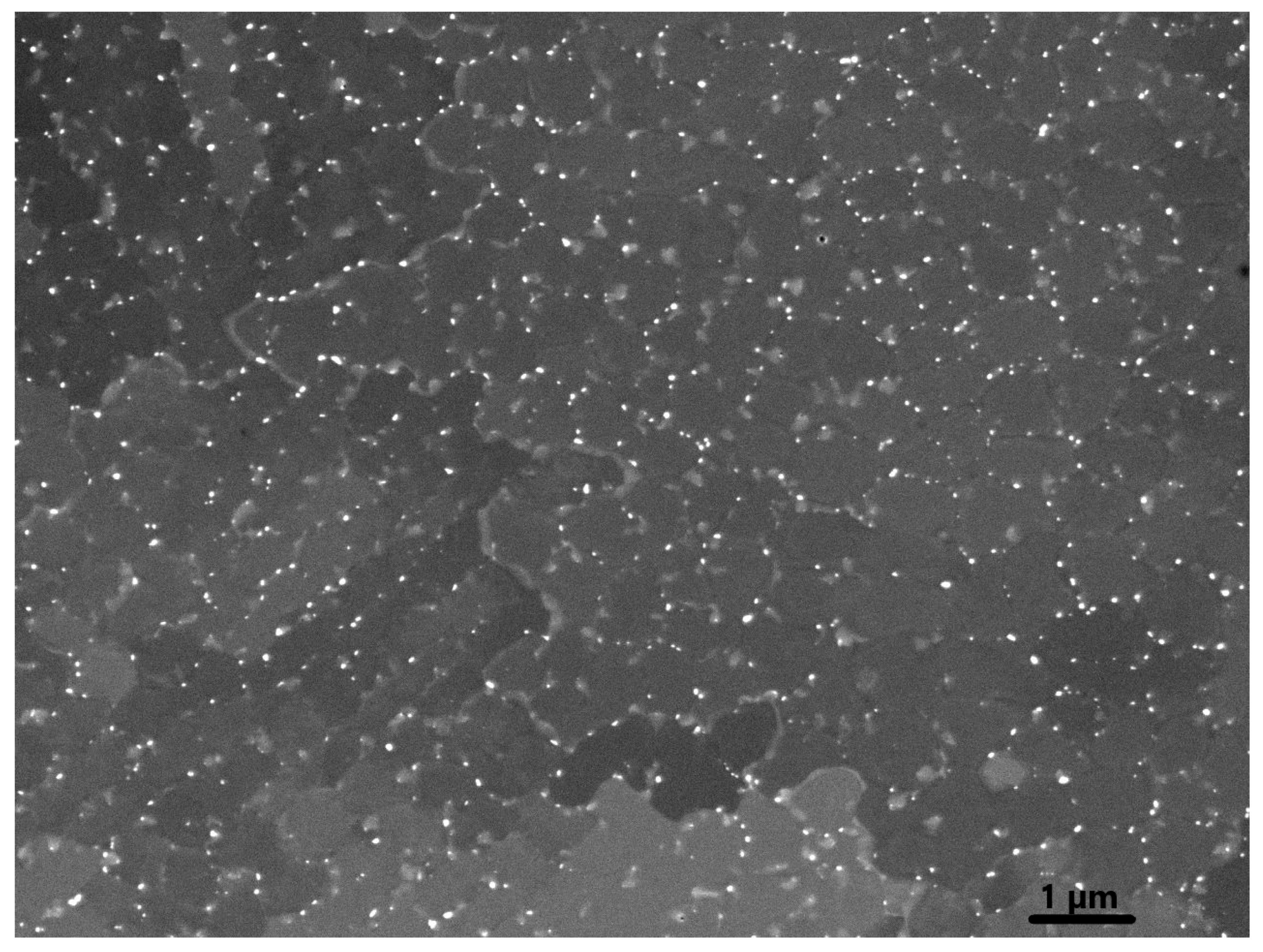 Metals 10 00996 g011