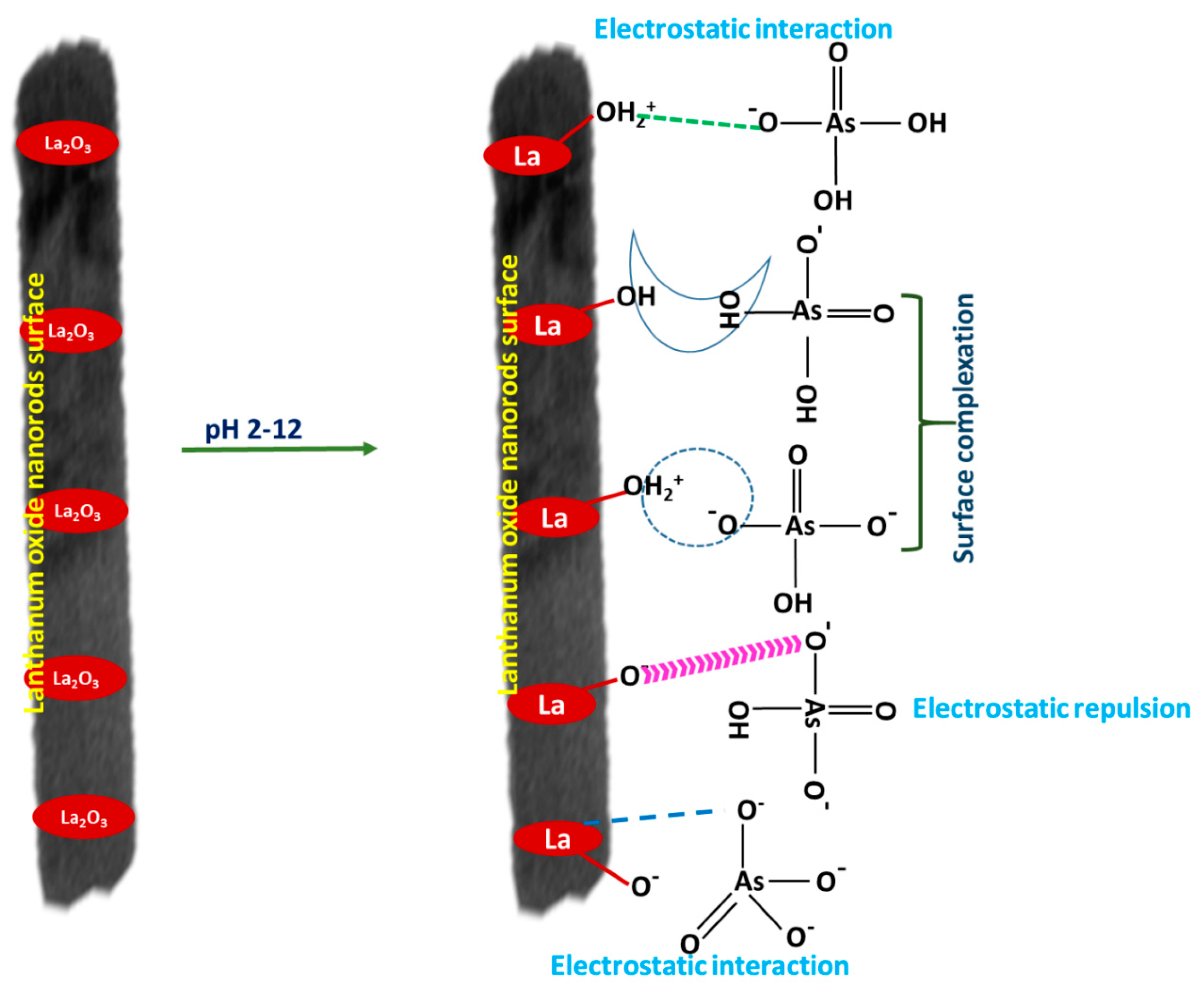 Metals 10 01001 g006