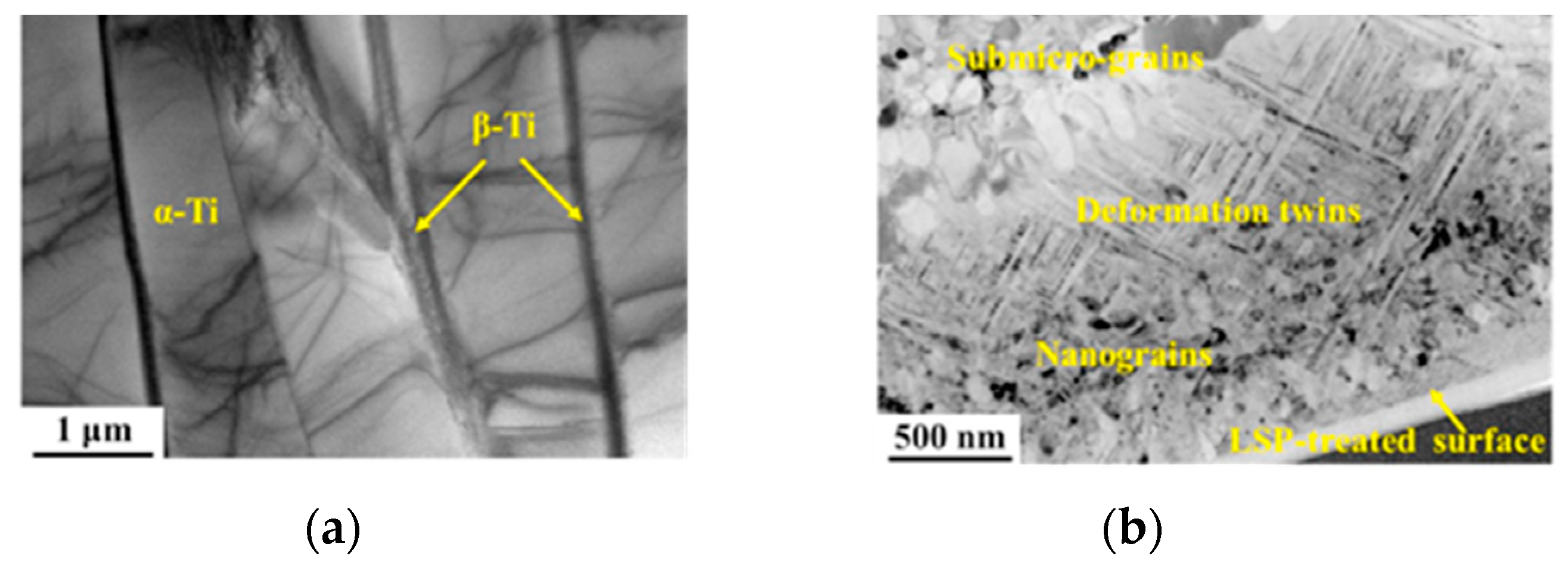 Metals 10 01006 g013