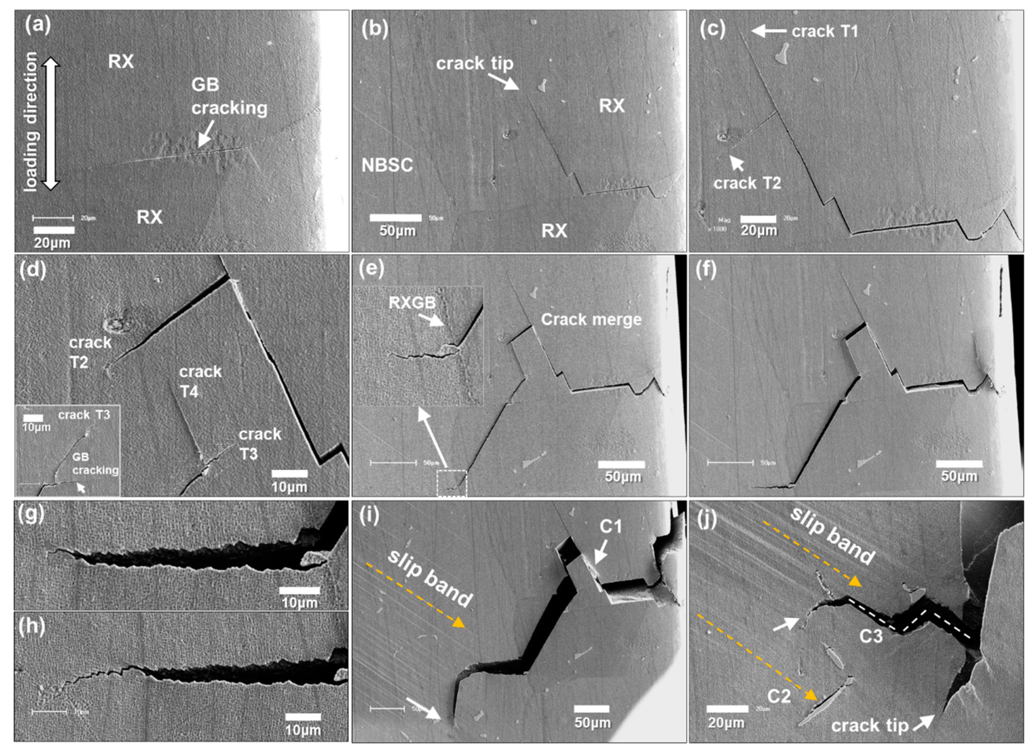 Metals 10 01007 g007