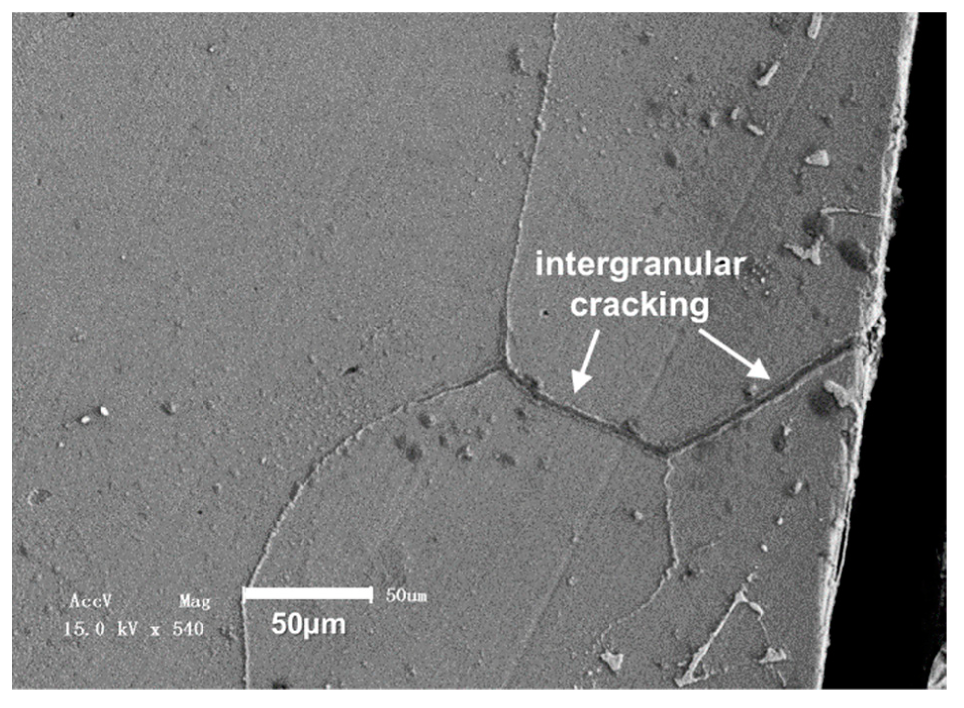 Metals 10 01007 g010