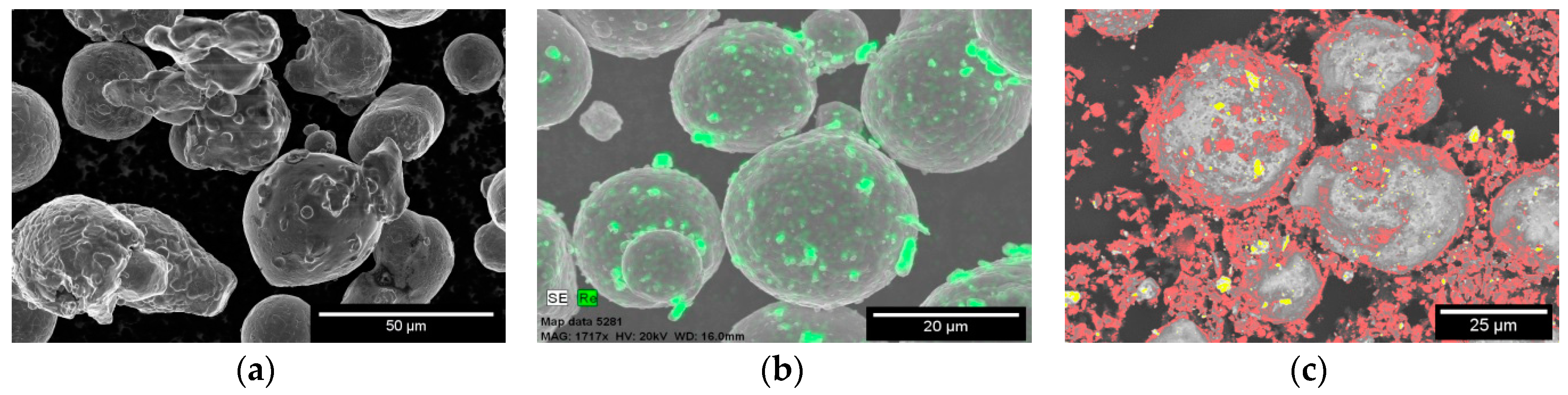 Metals 10 01009 g001