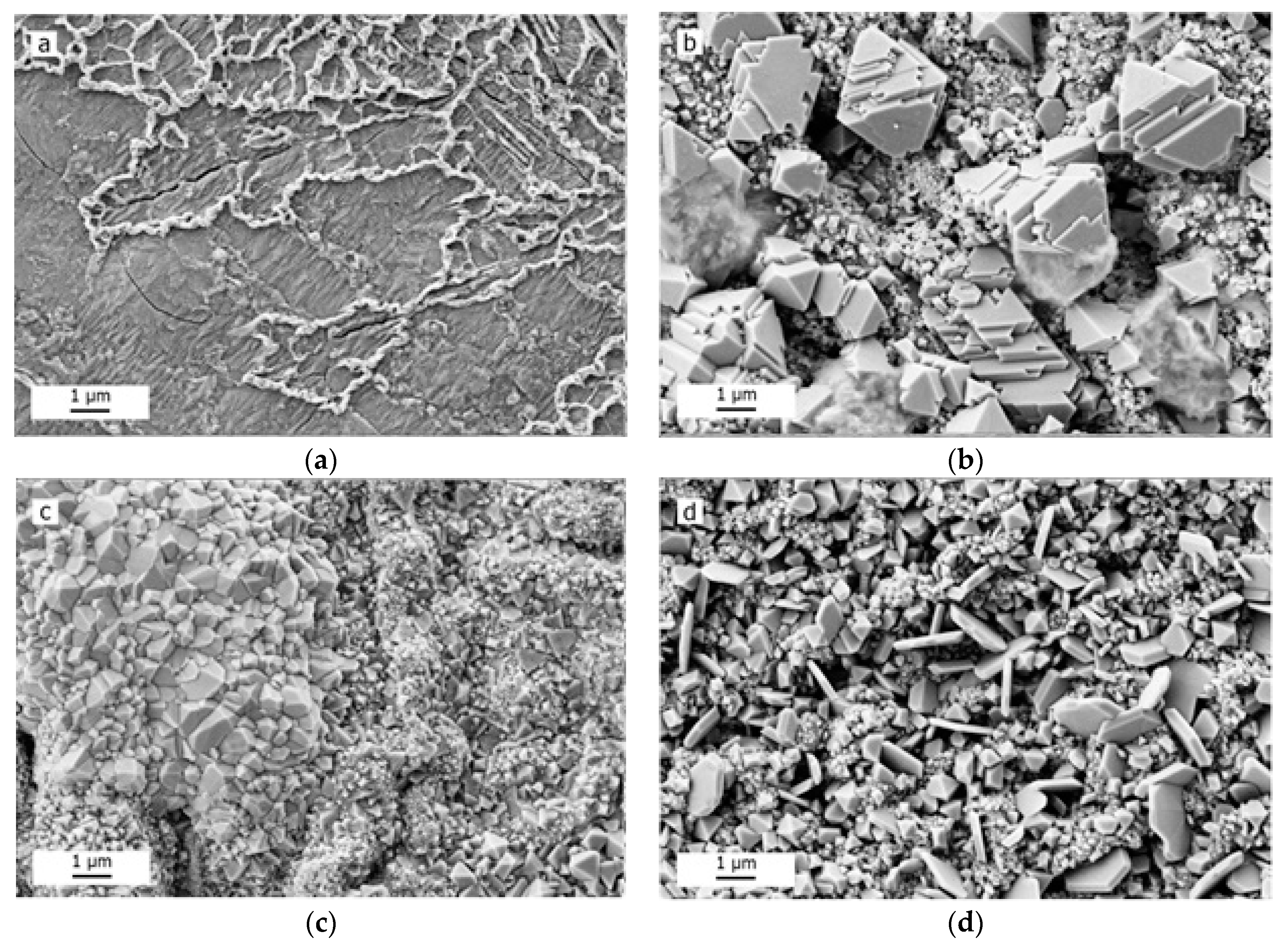 Metals 10 01009 g005