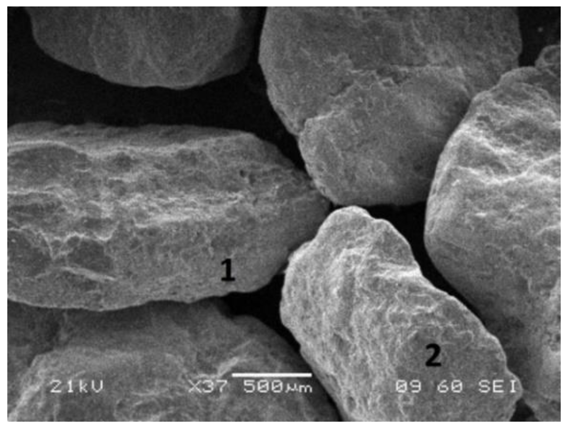 Metals 10 01012 g008