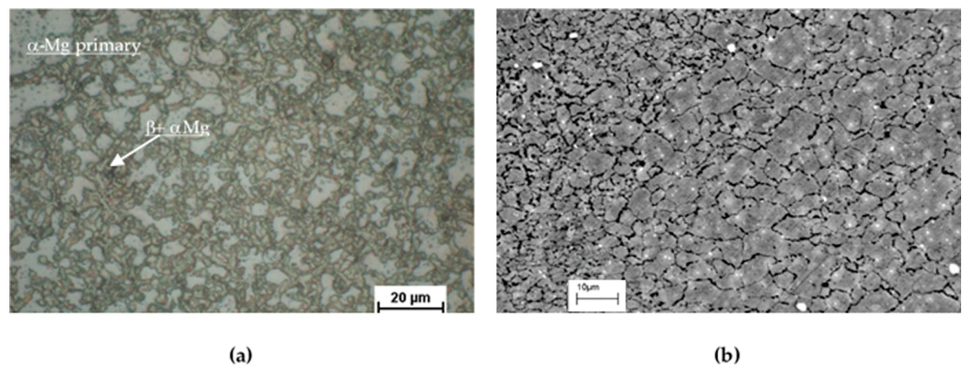 Metals 10 01014 g002