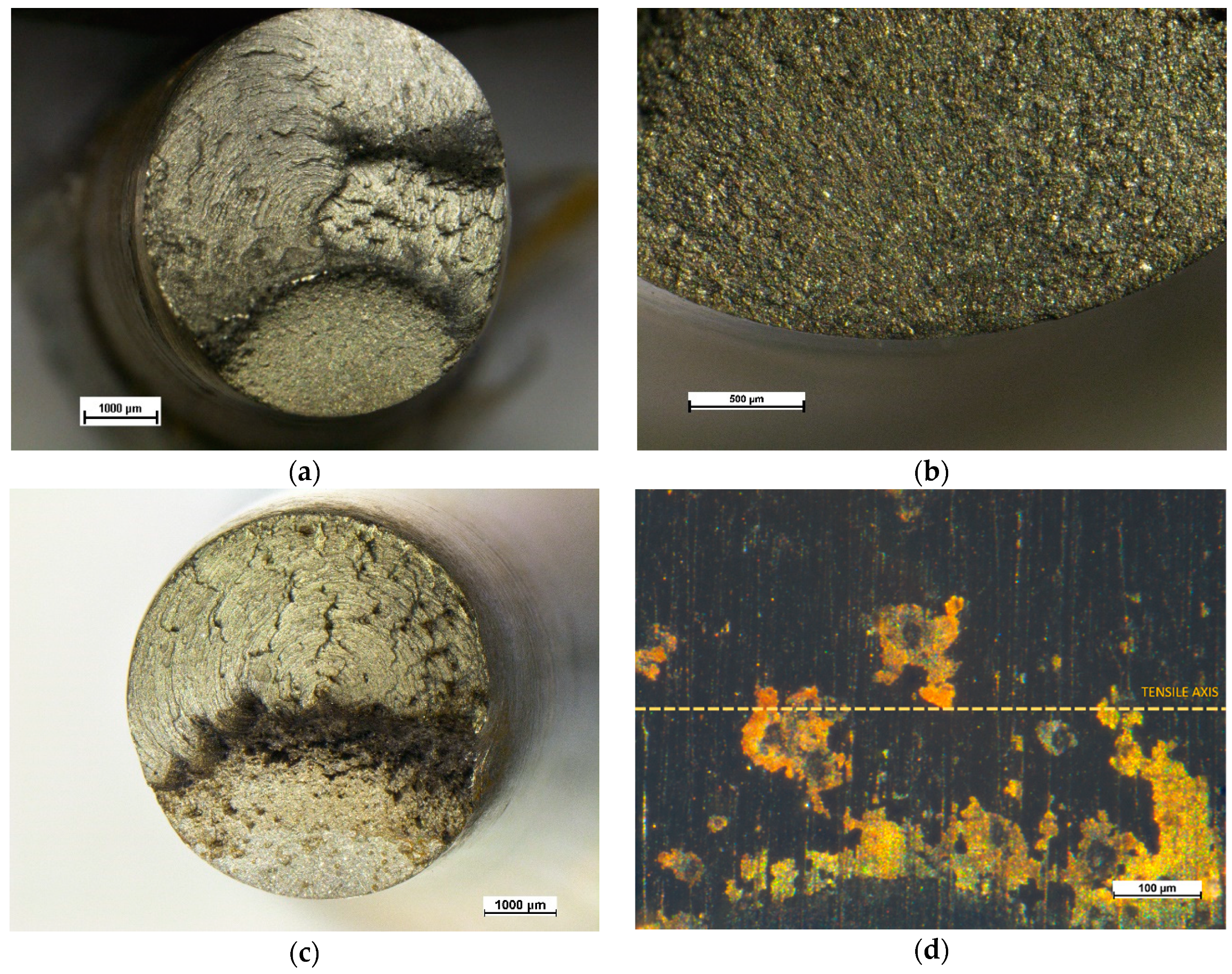 Metals 10 01018 g010