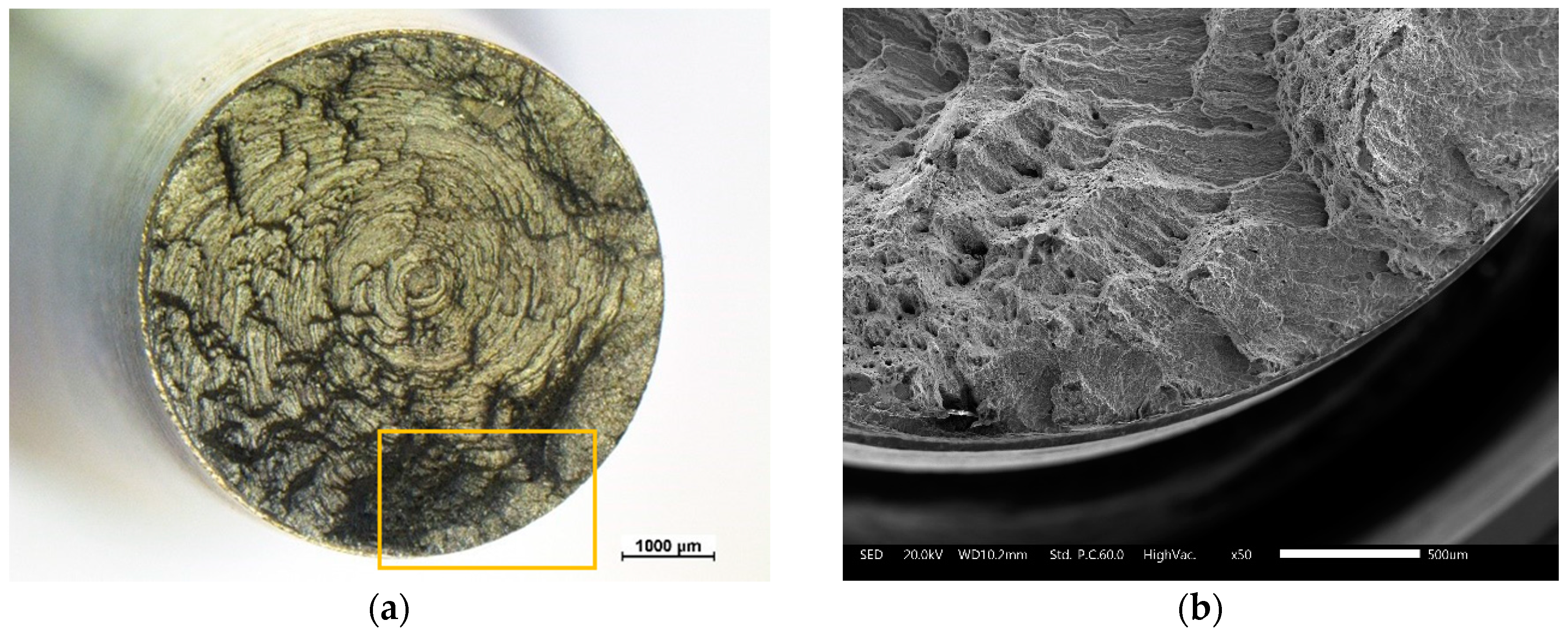 Metals 10 01018 g012