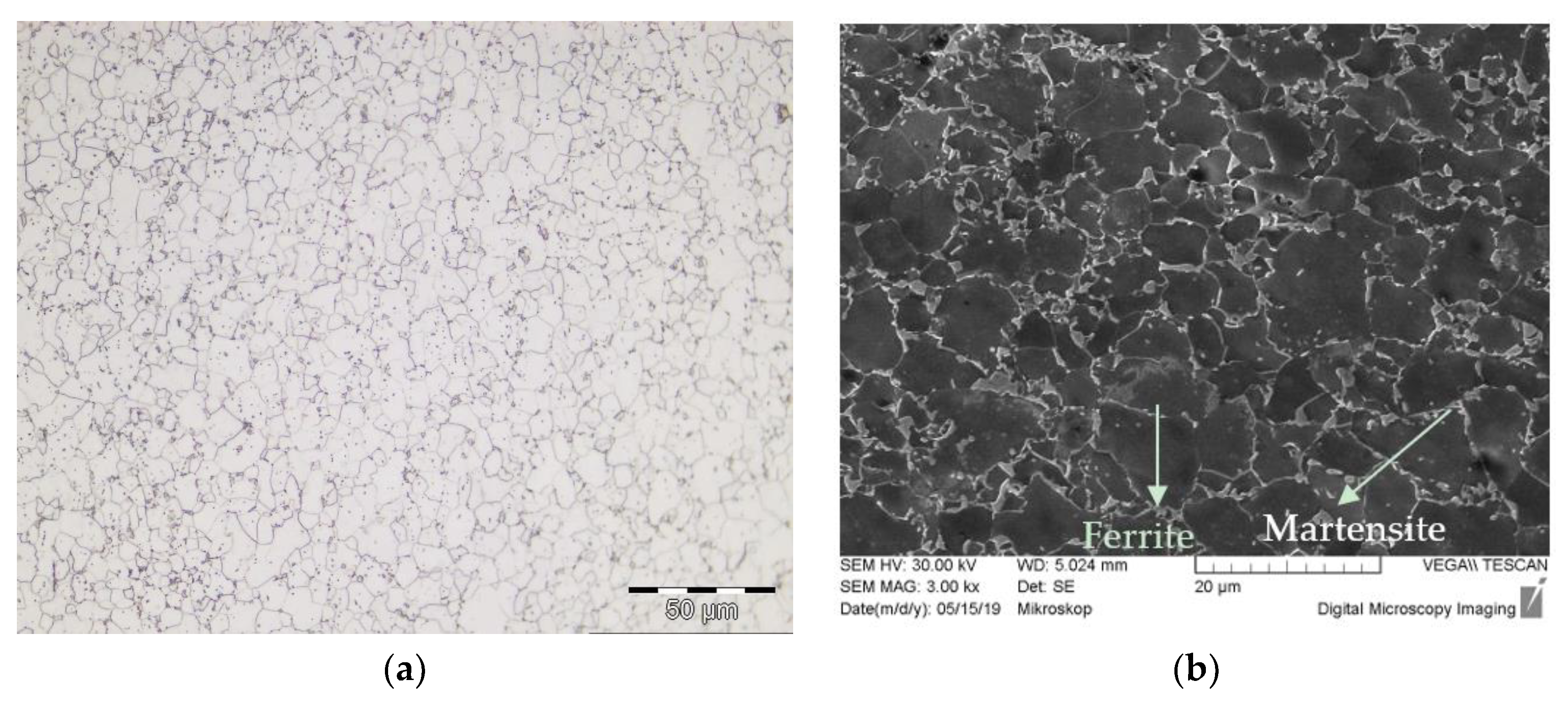 Metals 10 01019 g001 Metals 10 01019 g001