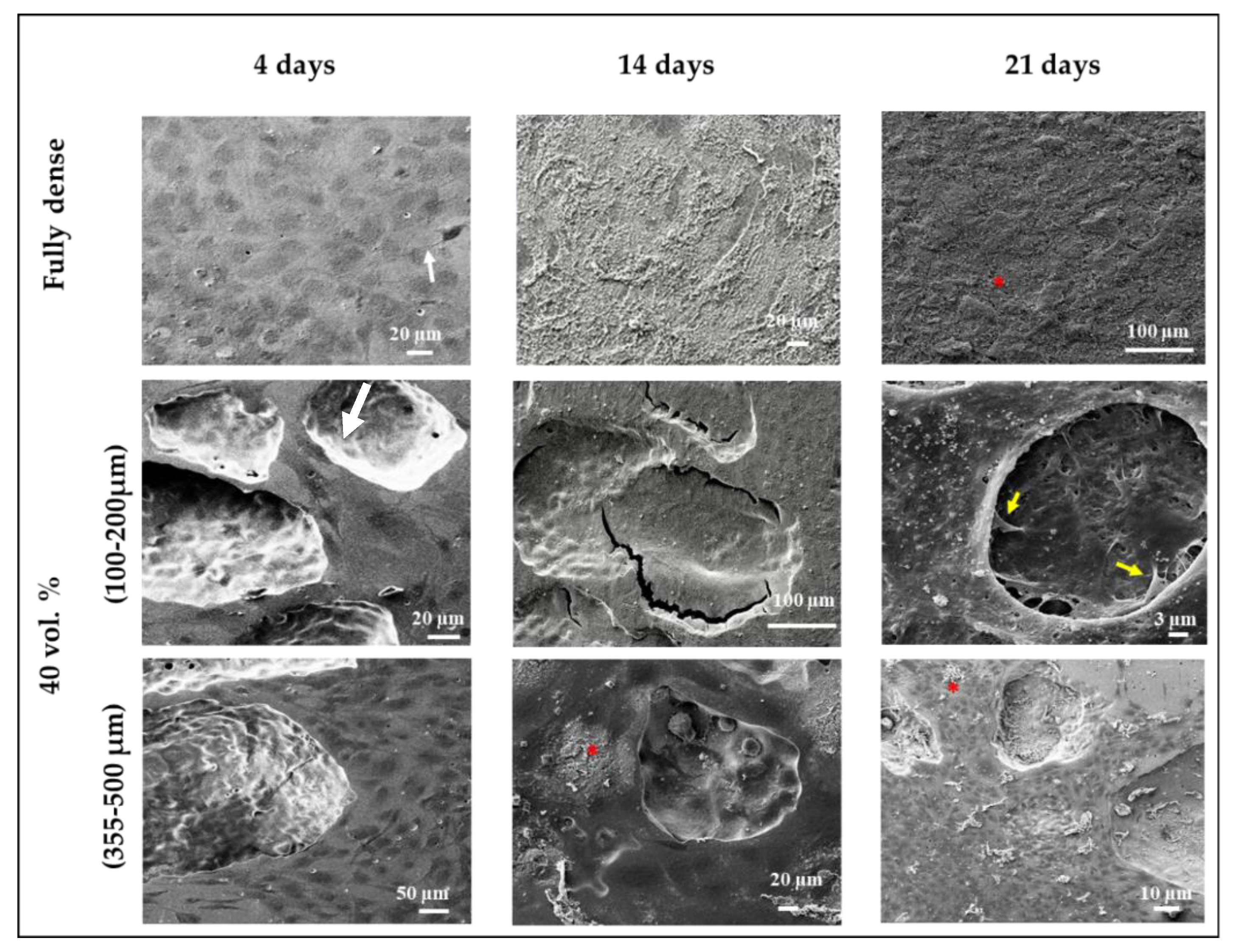 Metals 10 01077 g006 Metals 10 01077 g006