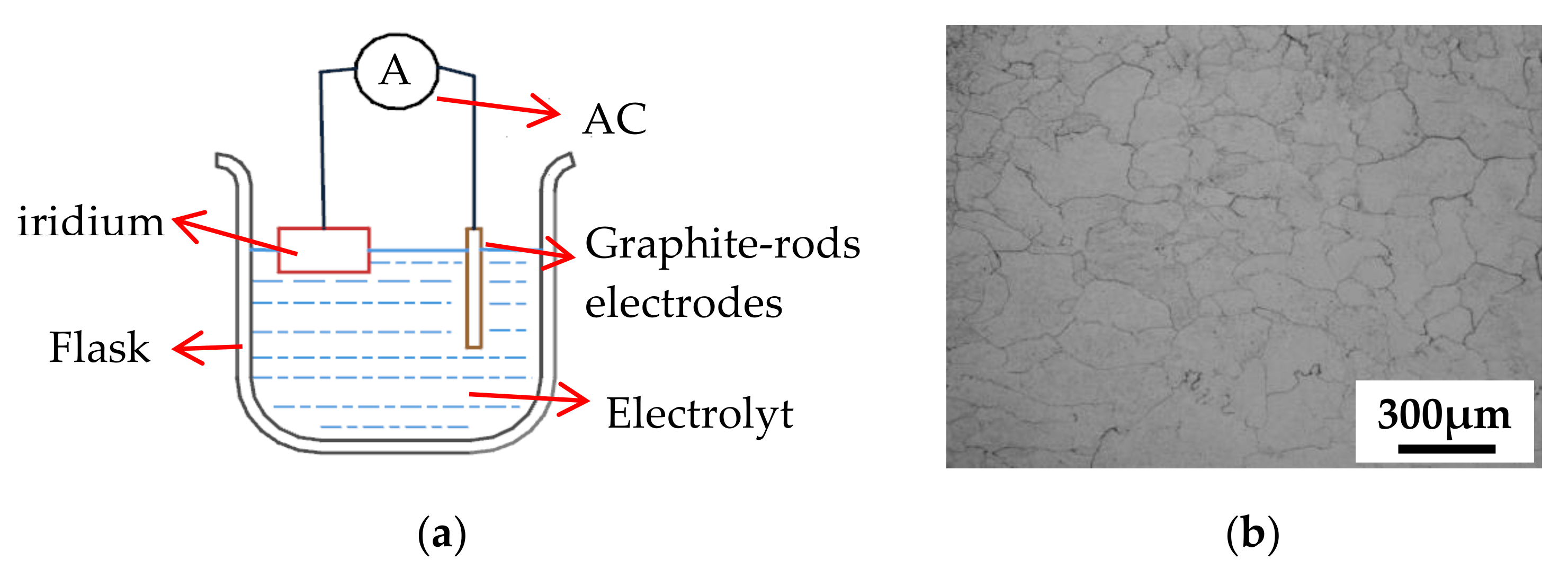 Metals 10 01087 g002 Metals 10 01087 g002