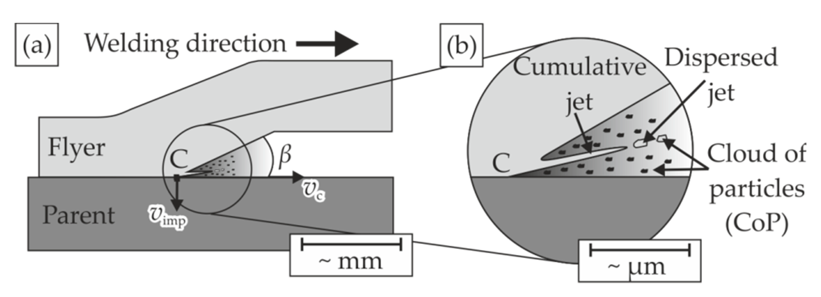Metals 10 01108 g001 Metals 10 01108 g001
