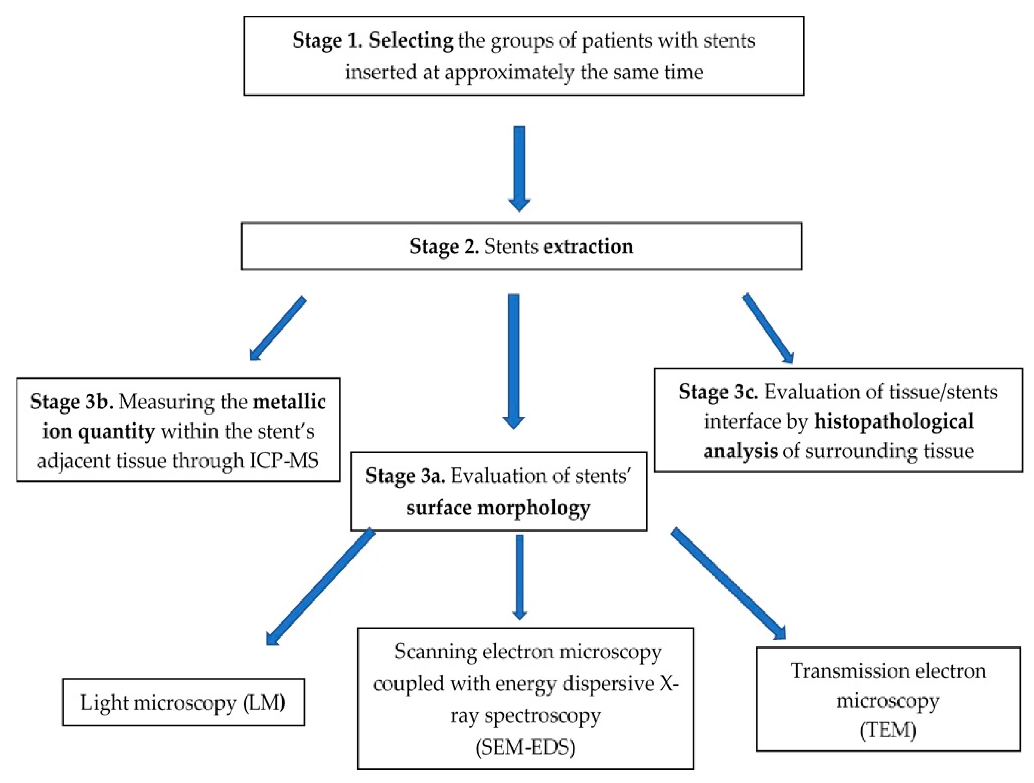 Metals 10 01112 g001