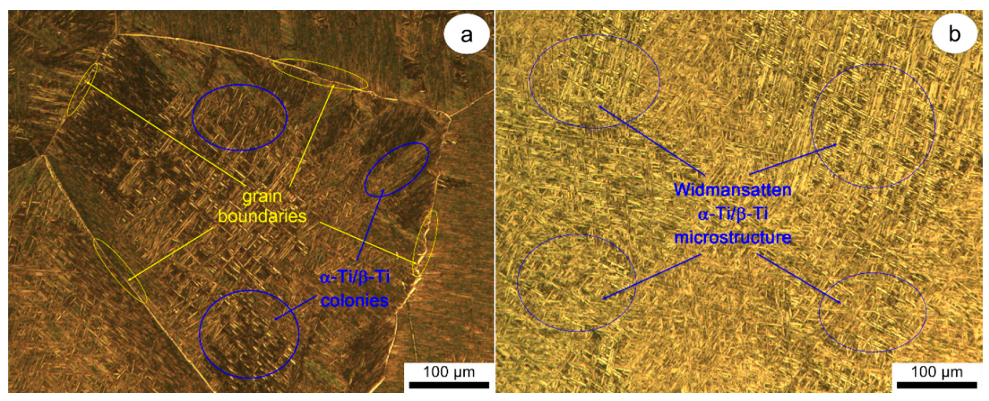 Metals 10 01114 g002