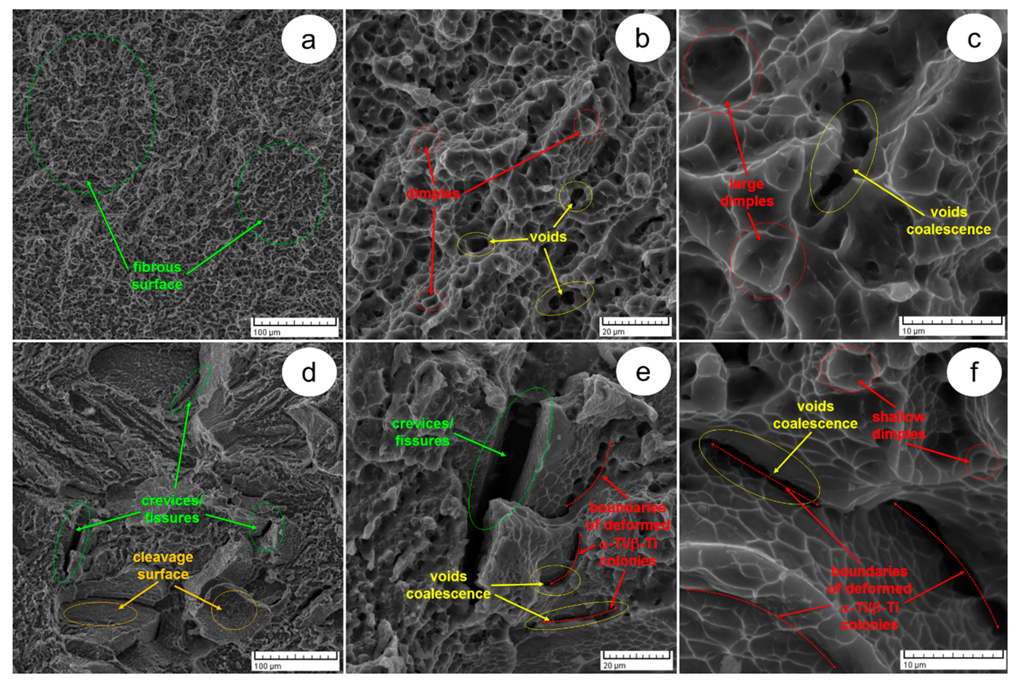Metals 10 01114 g008
