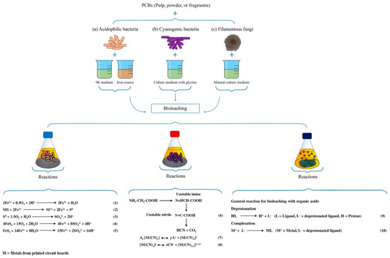 Metals 10 01120 g003