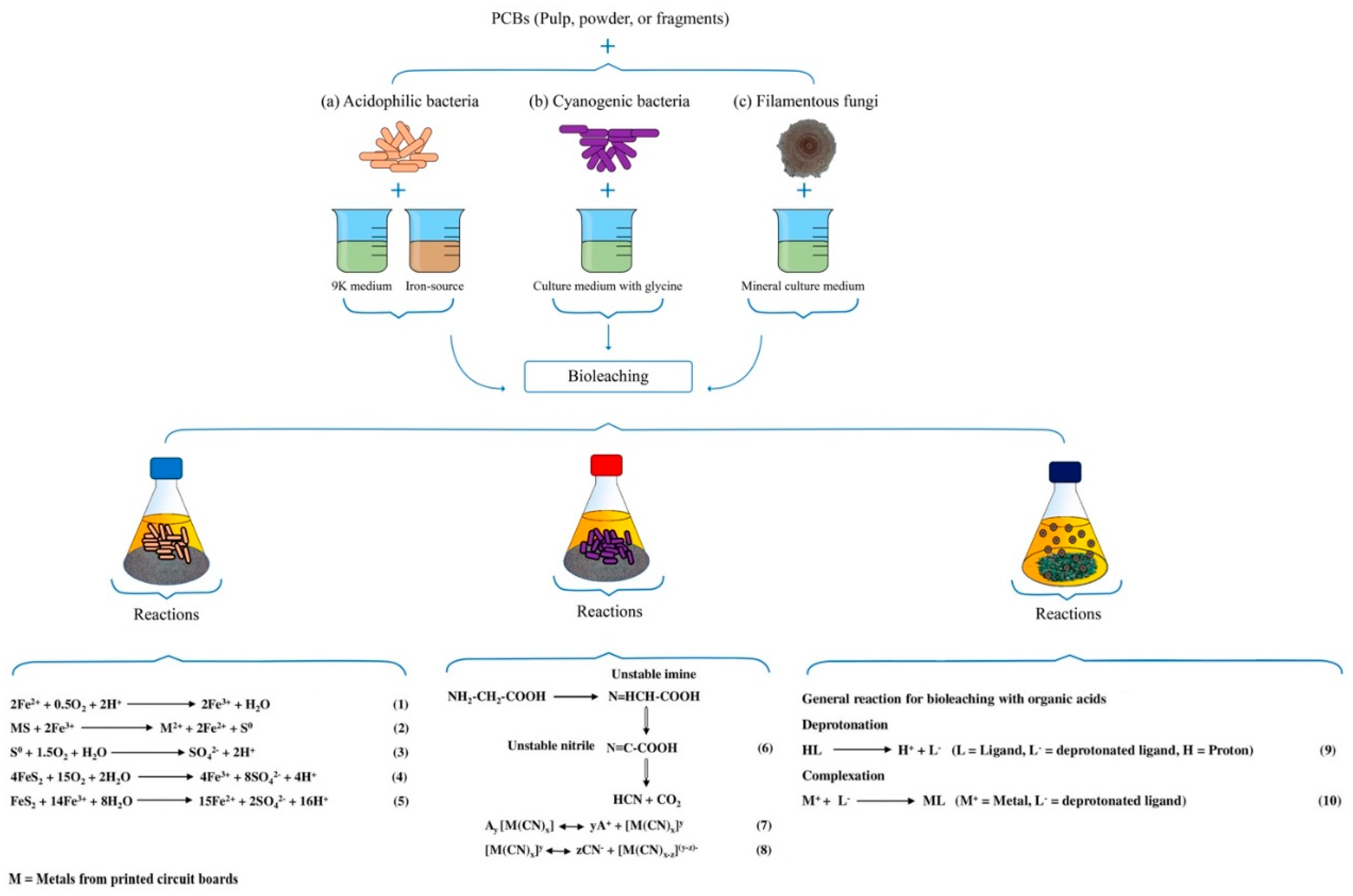 Metals 10 01120 g003
