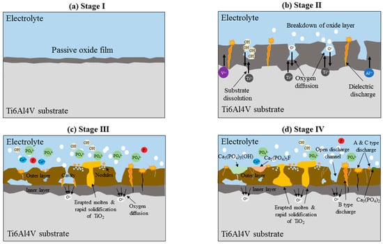 Metals 10 01124 g003