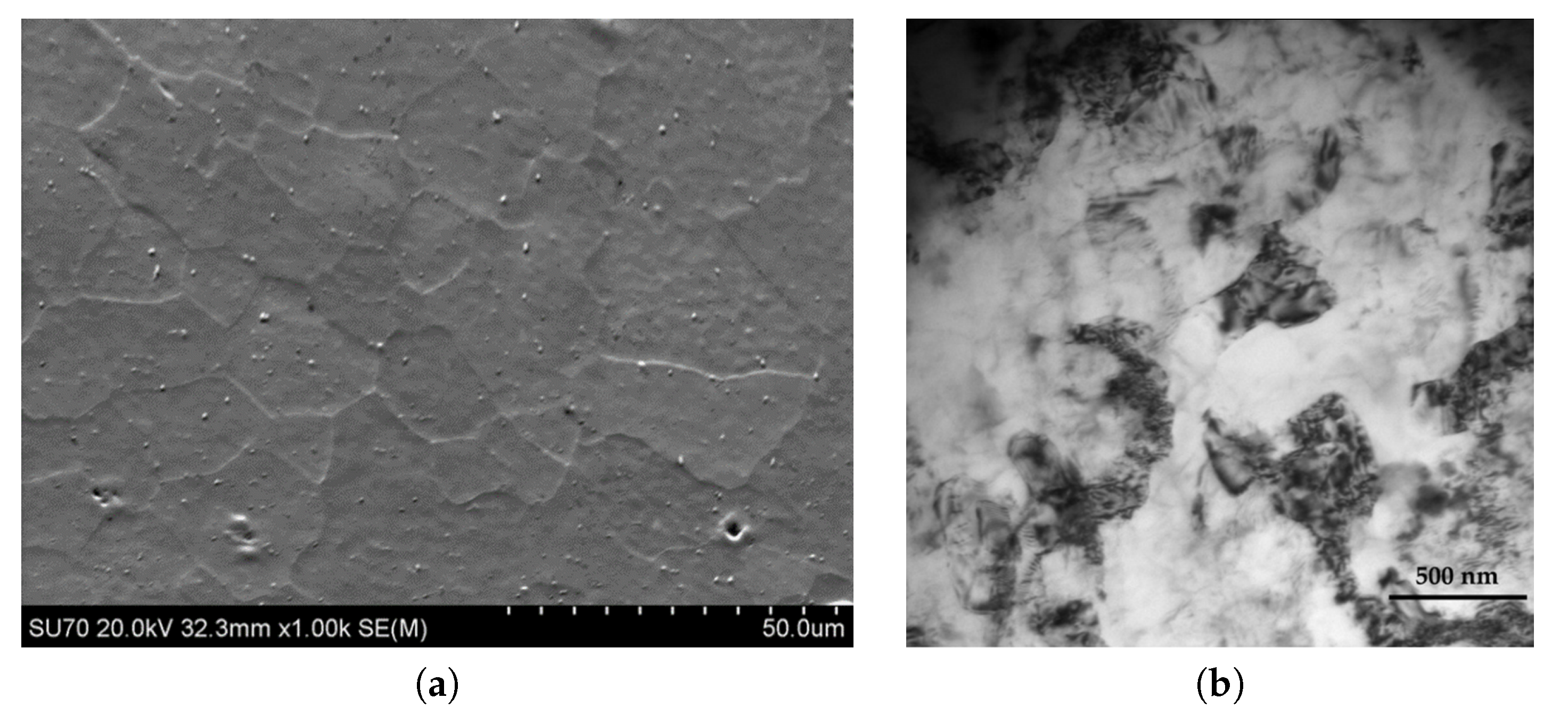 Metals 10 01126 g006