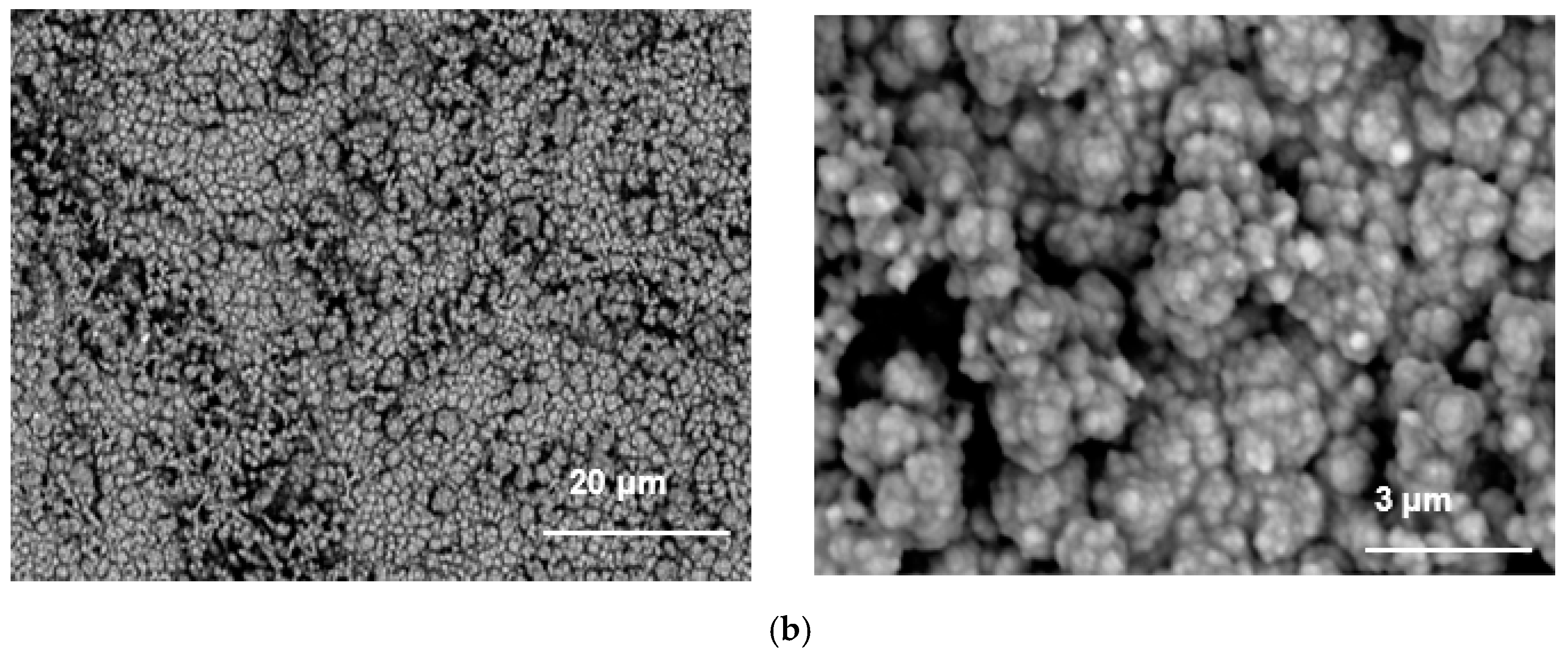 Metals 10 01130 g006b