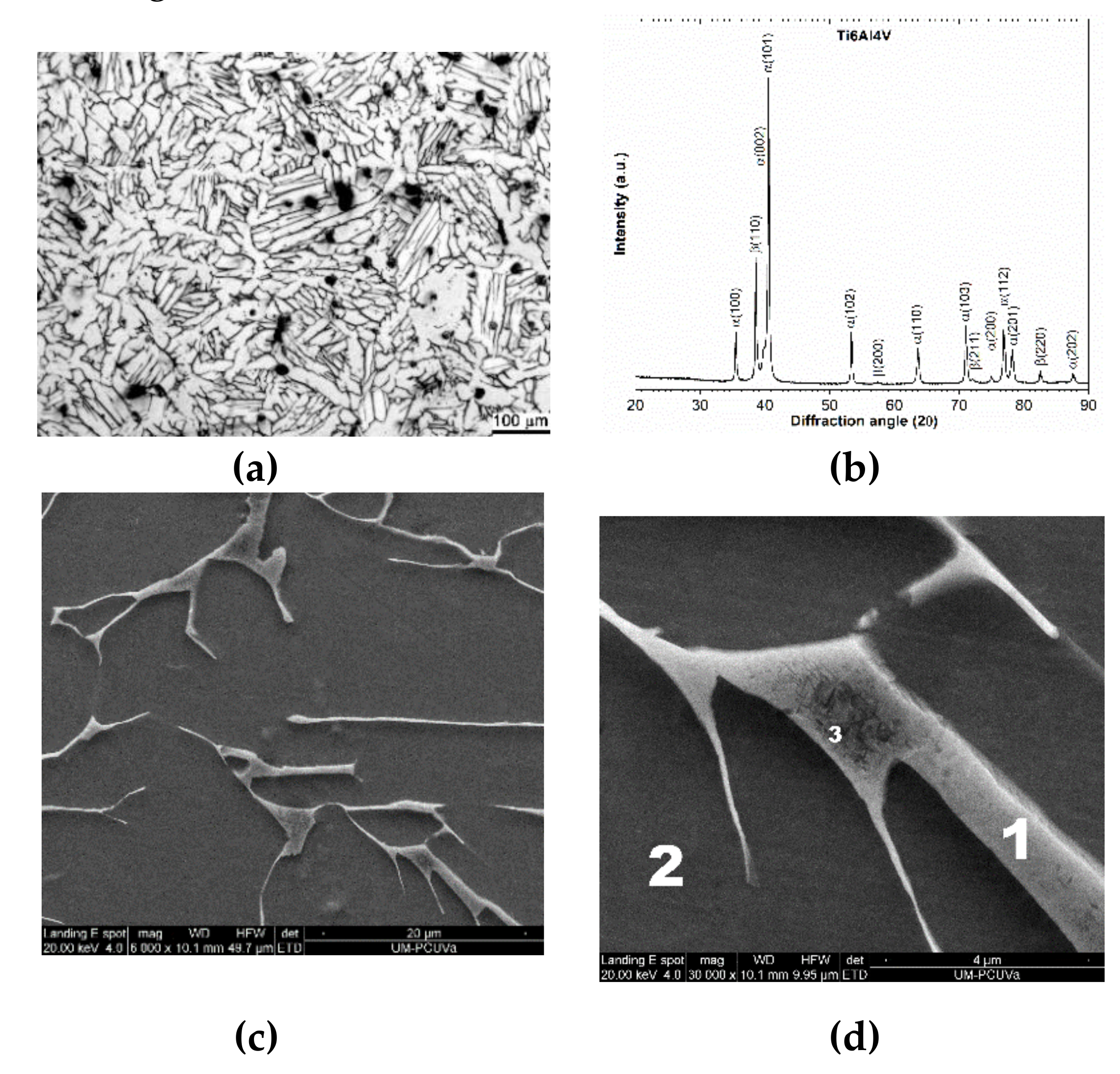 Metals 10 01167 g001 Metals 10 01167 g001