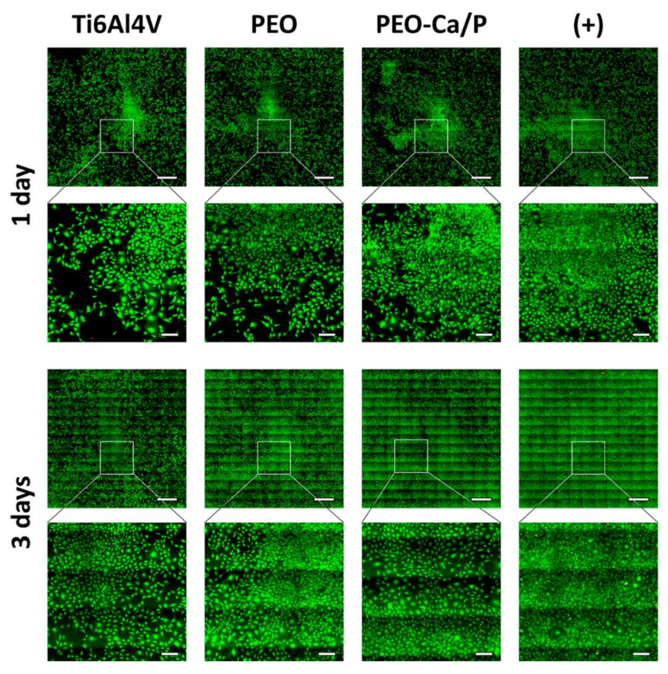 Metals 10 01167 g007 Metals 10 01167 g007