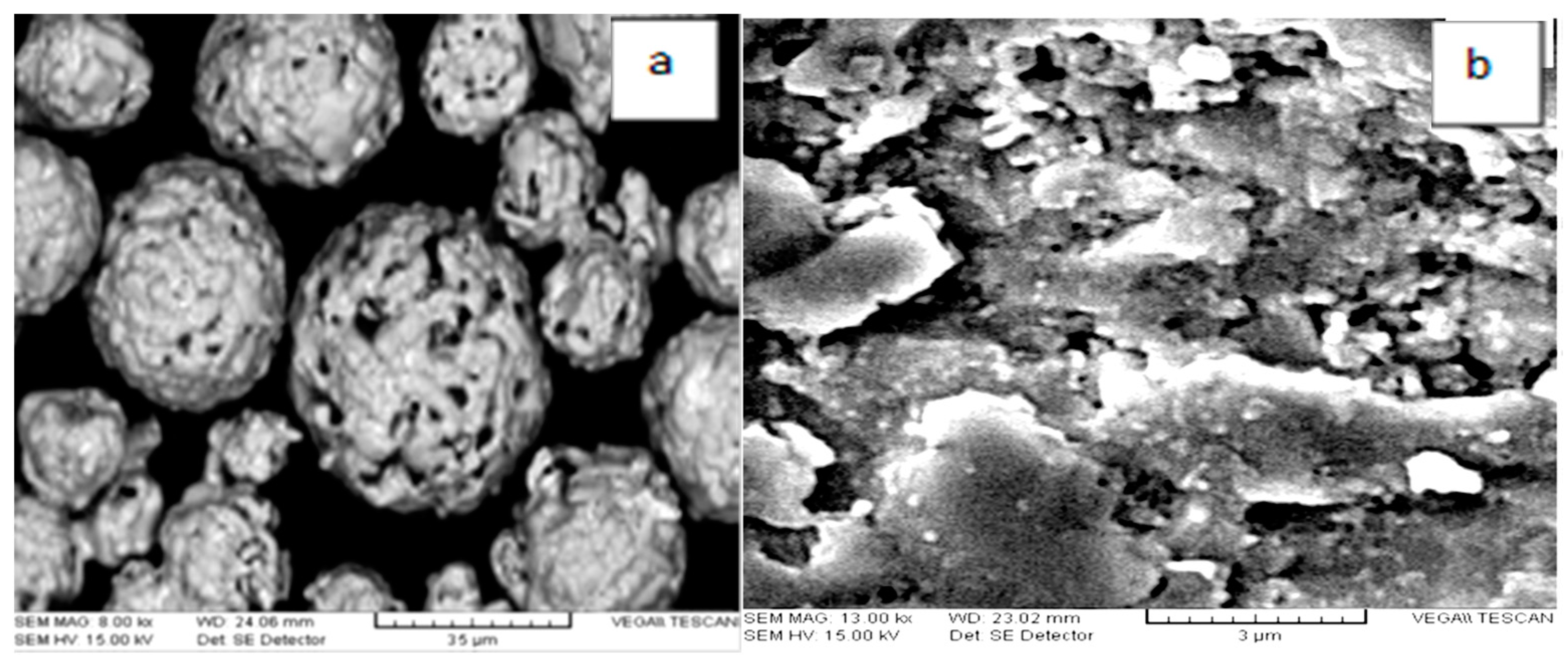 Metals 10 01171 g005