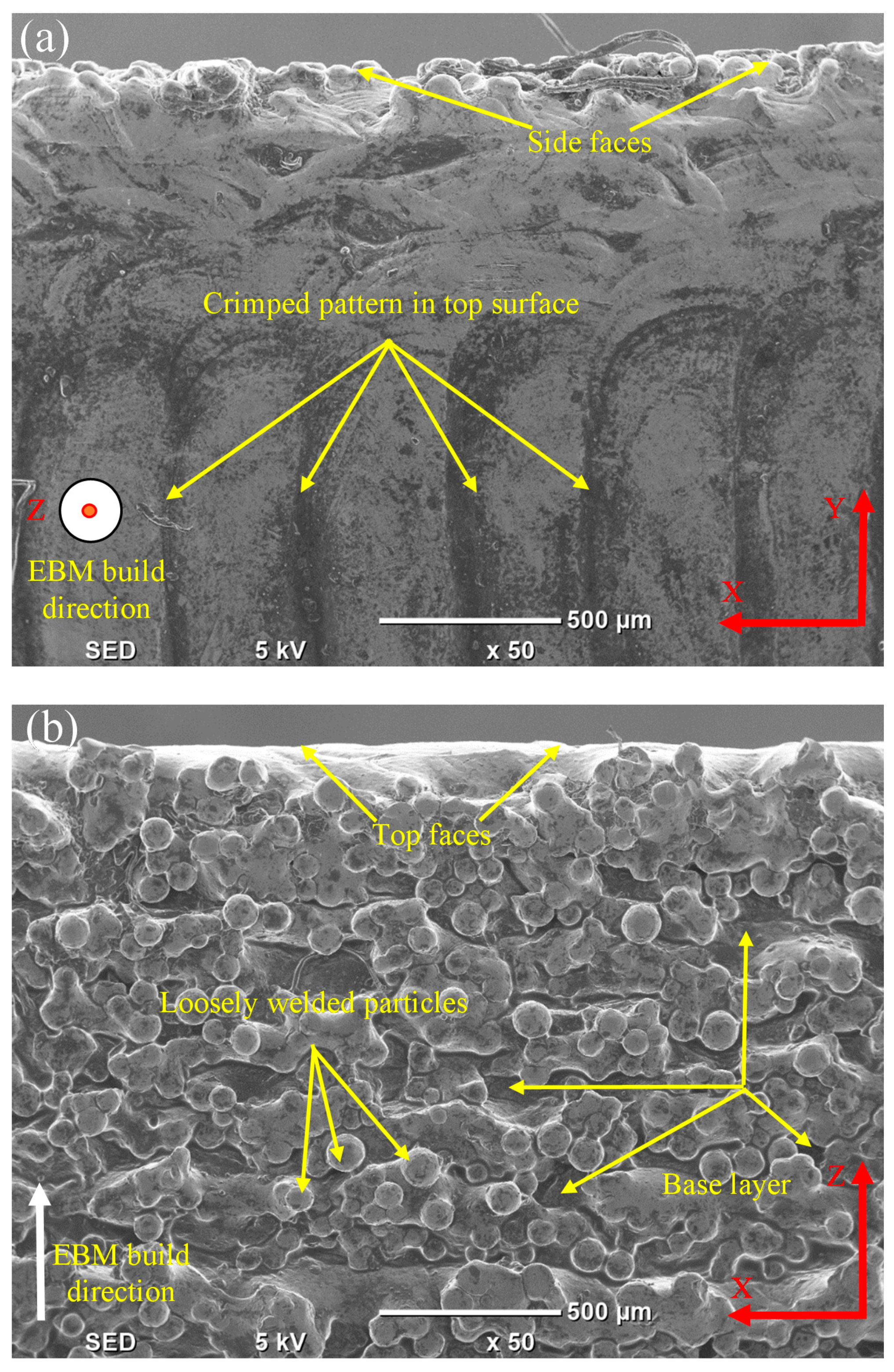 Metals 10 01172 g004 Metals 10 01172 g004