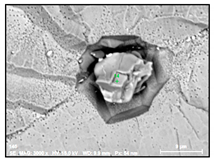 Metals 10 01177 i002