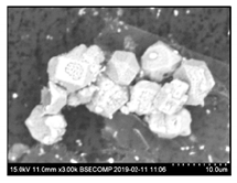 Metals 10 01177 i003