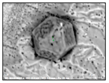 Metals 10 01177 i004