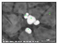 Metals 10 01177 i013