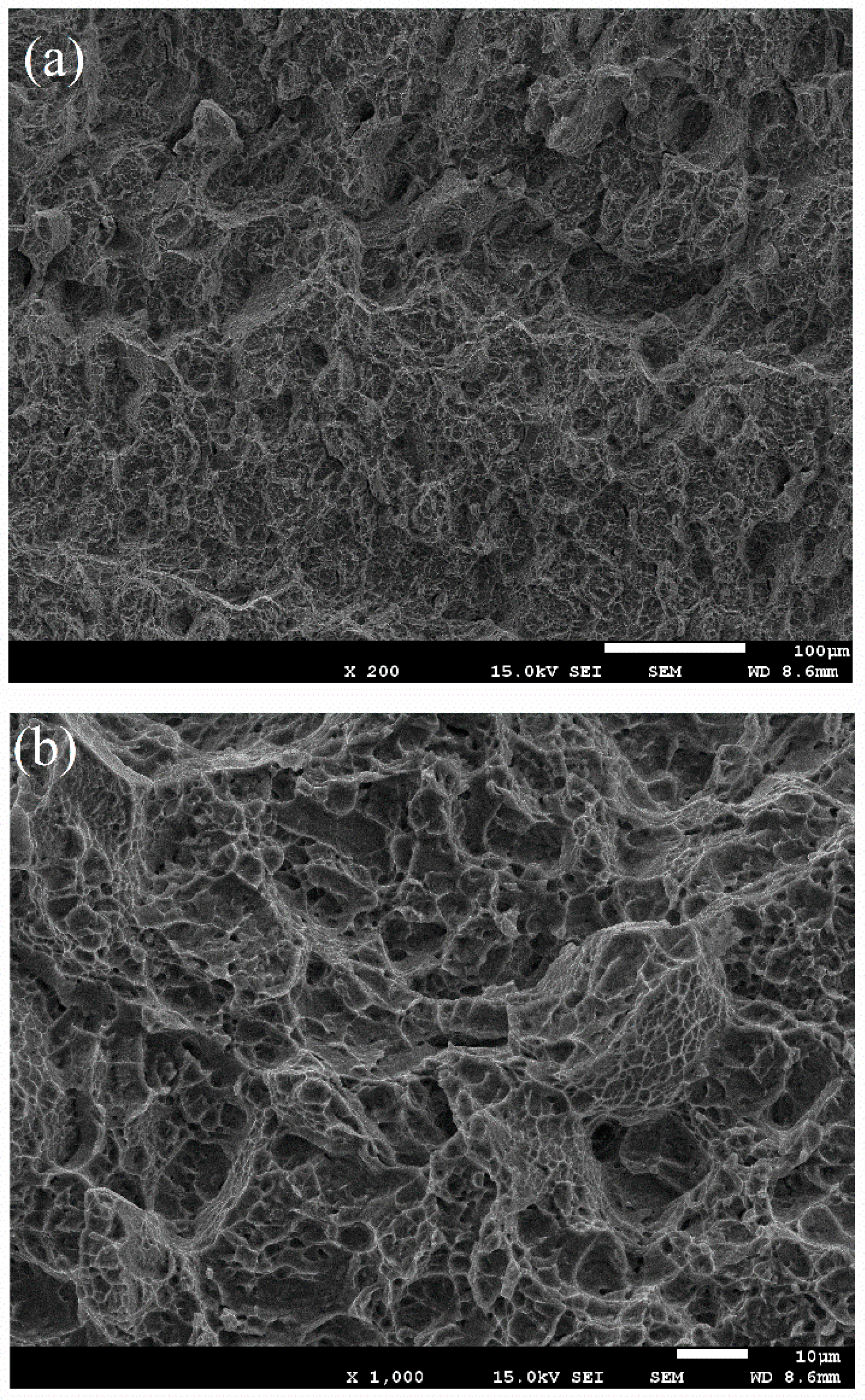 Metals 10 01185 g010 Metals 10 01185 g010