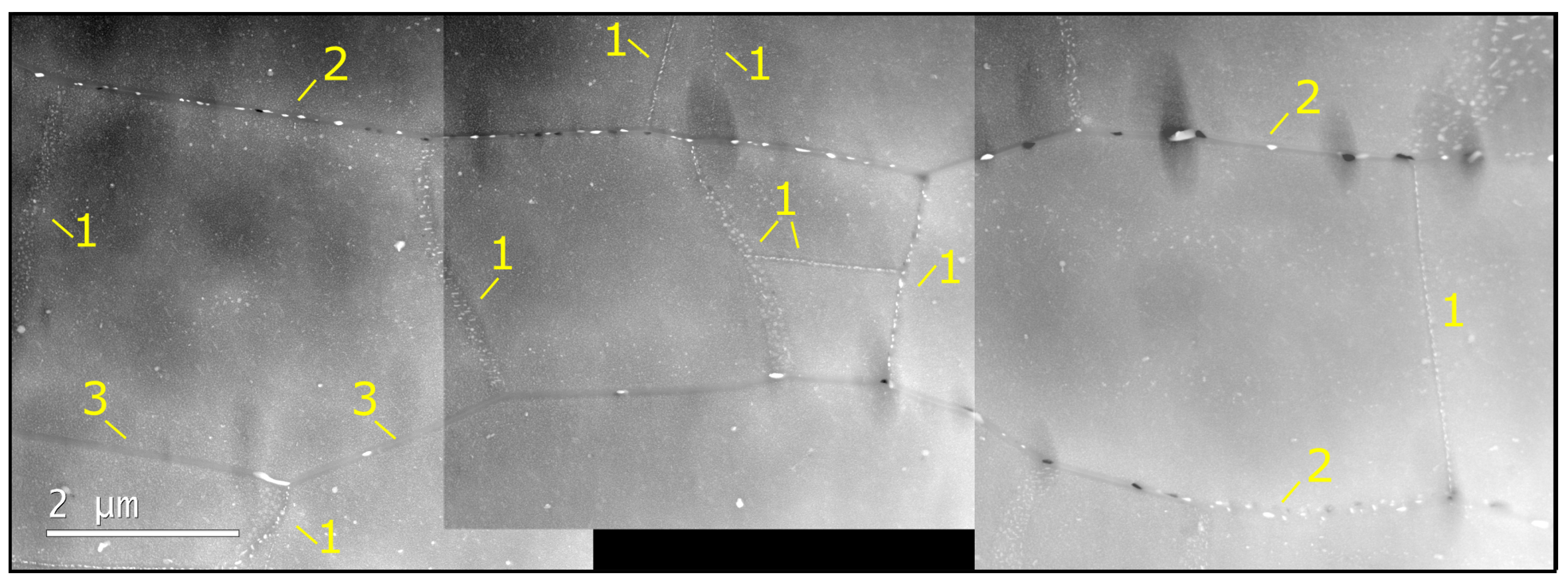 Metals 10 01194 g005