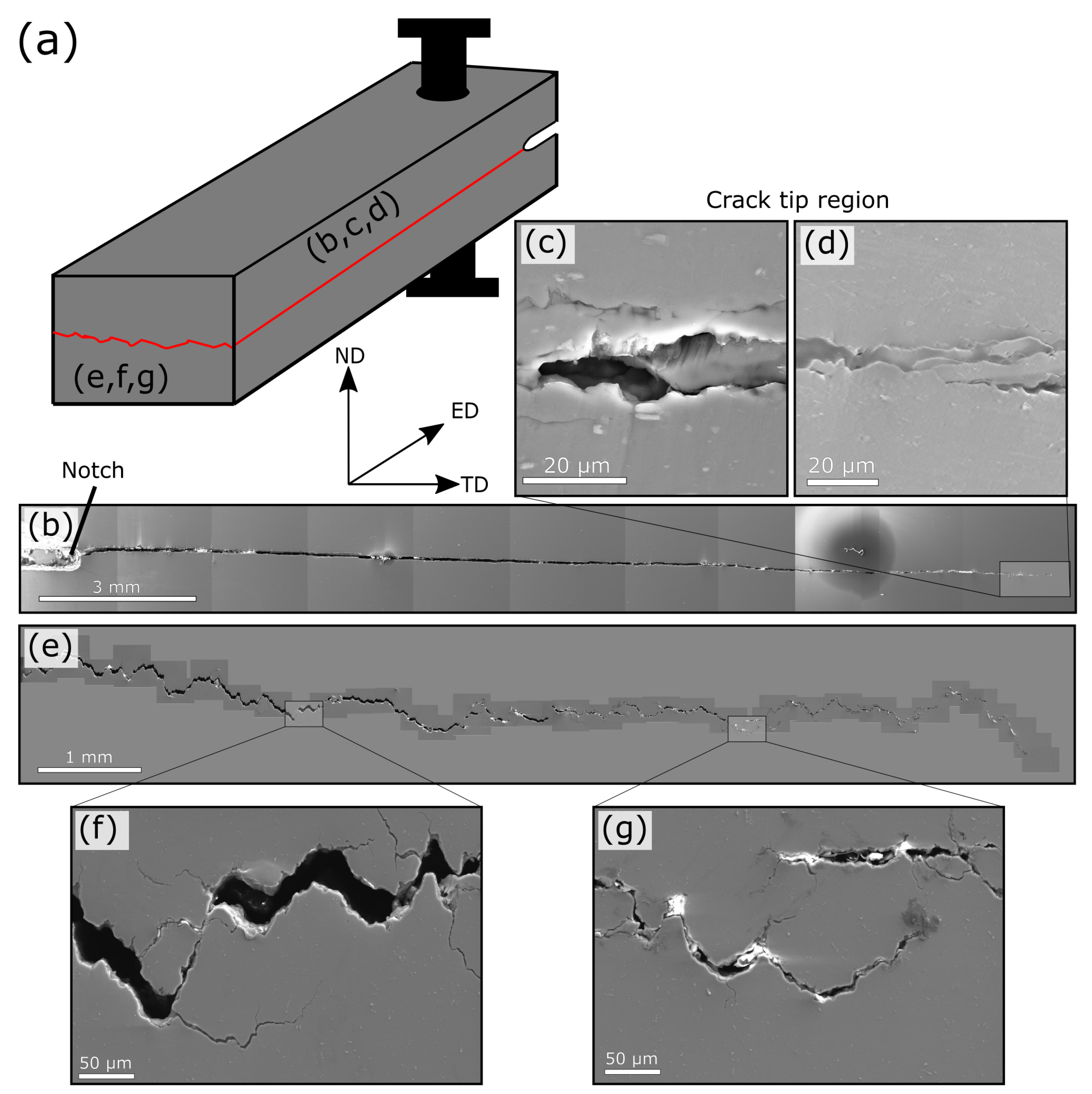 Metals 10 01194 g011