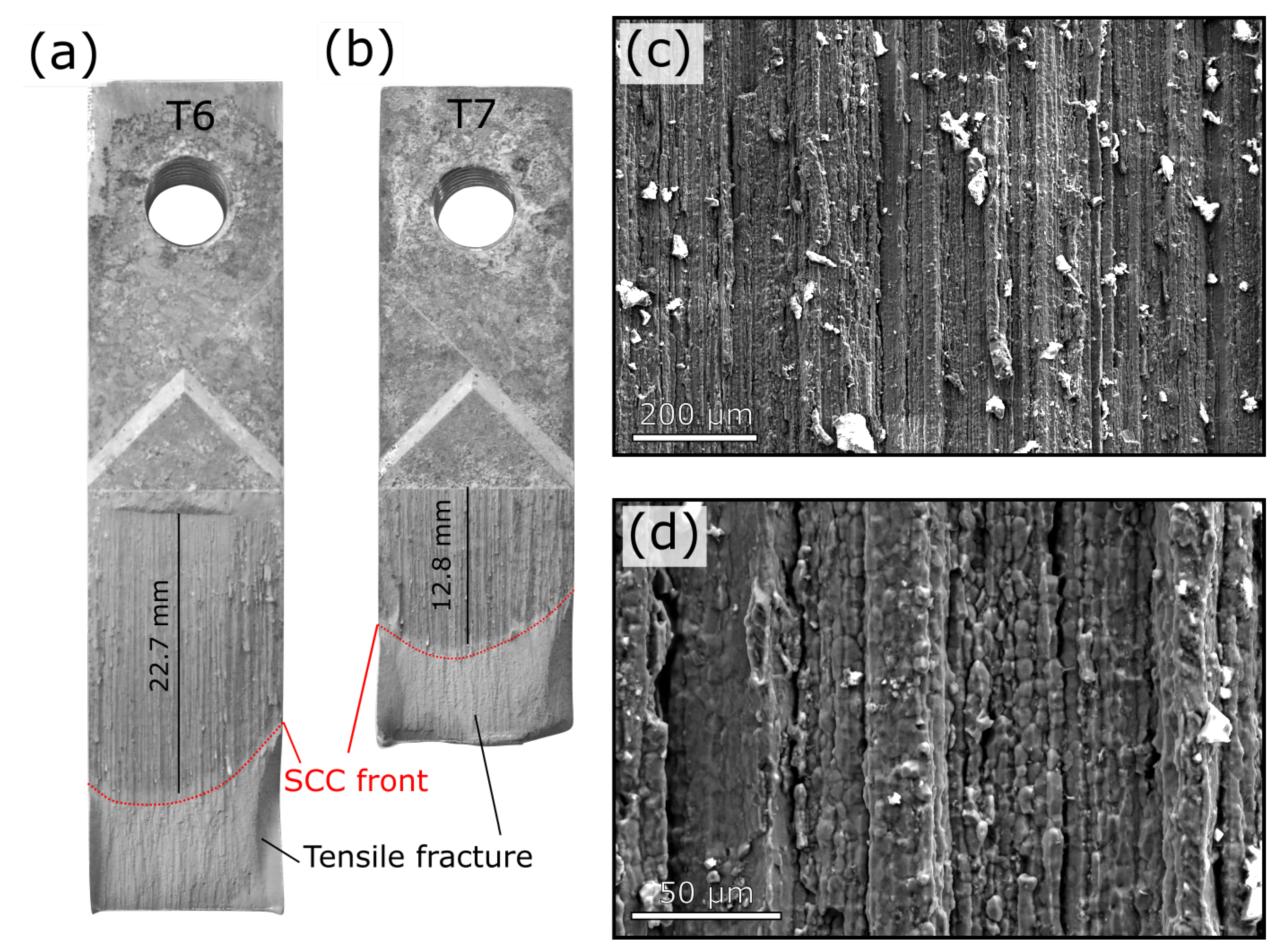 Metals 10 01194 g012