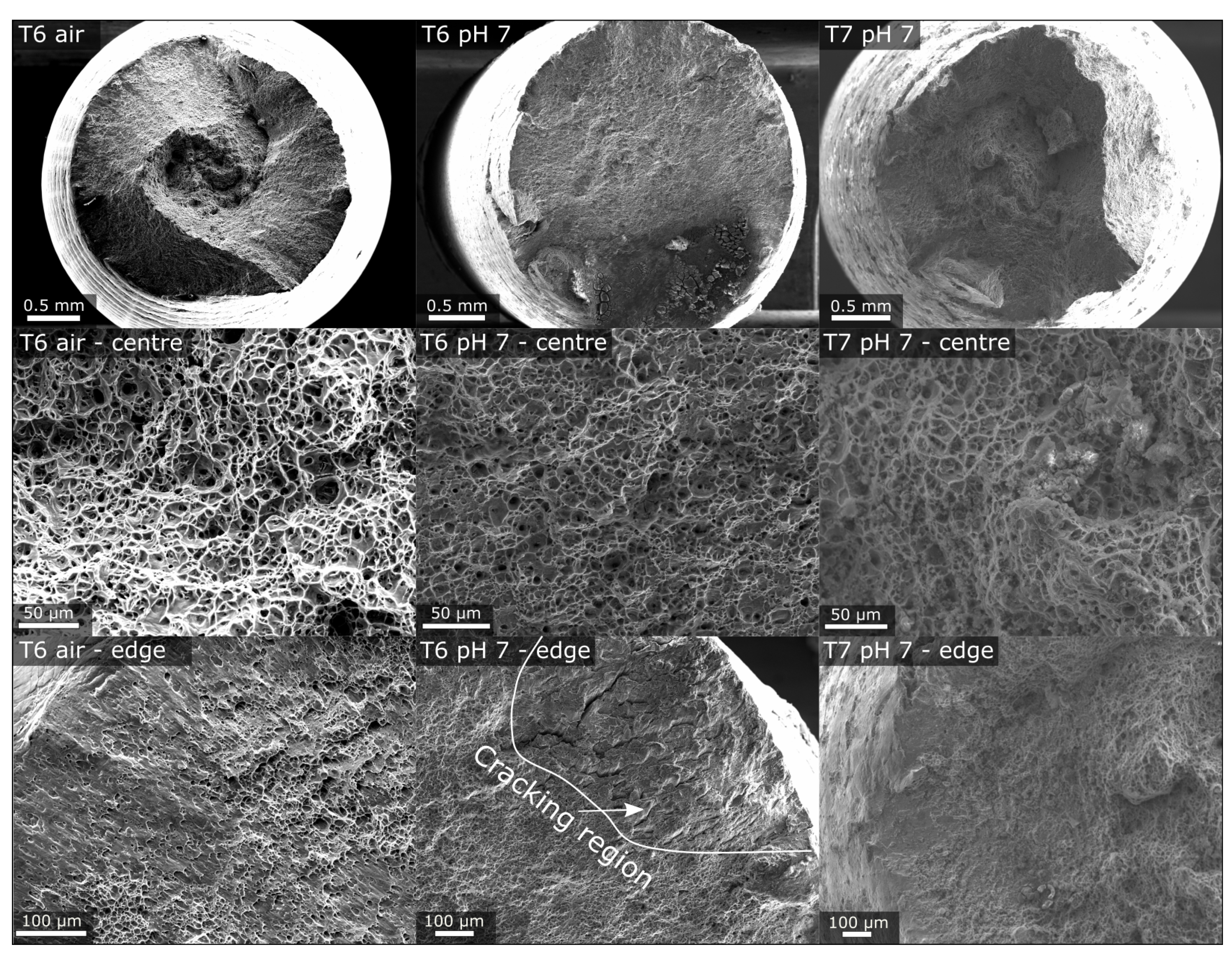 Metals 10 01194 g014