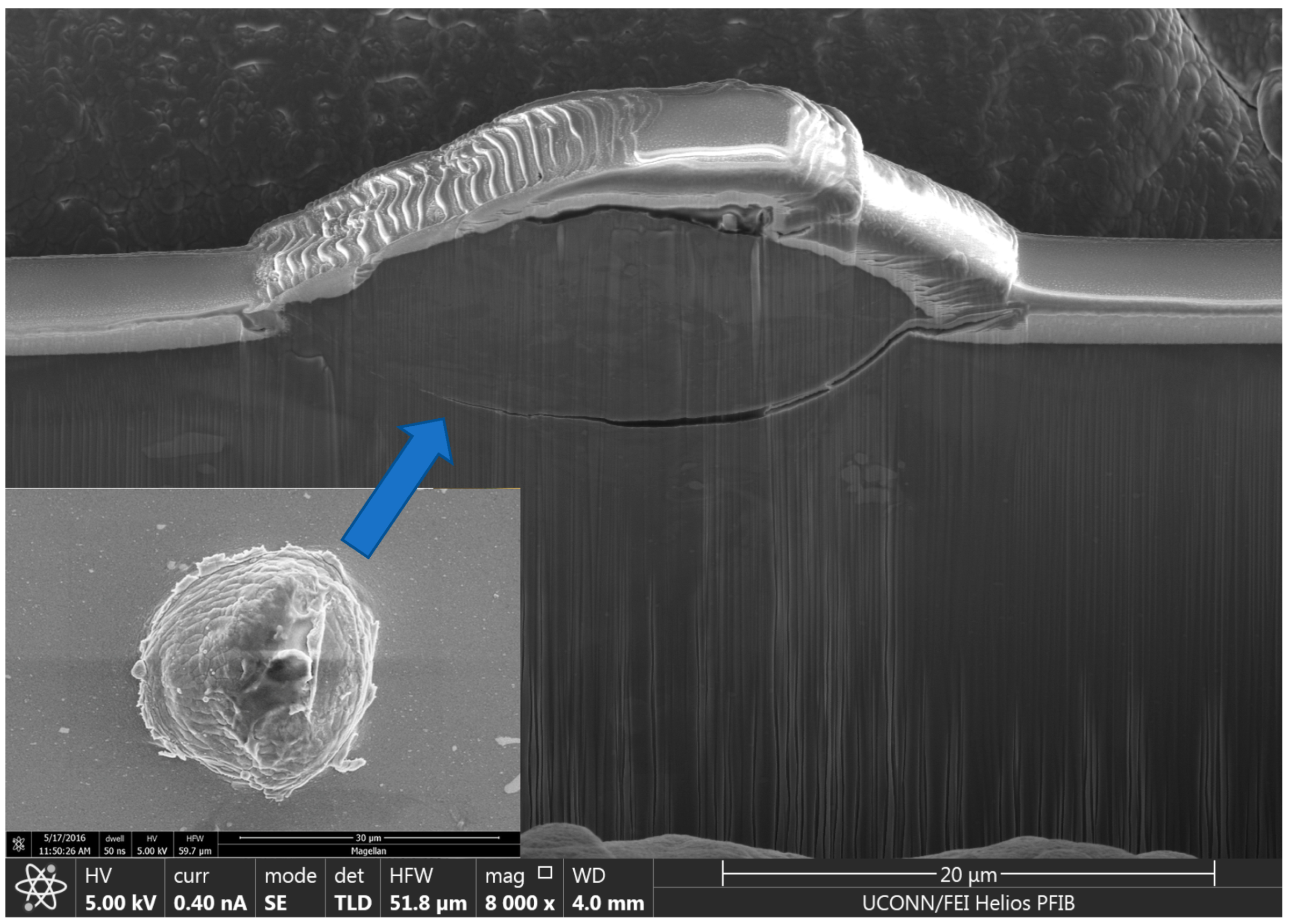 Metals 10 01195 g051