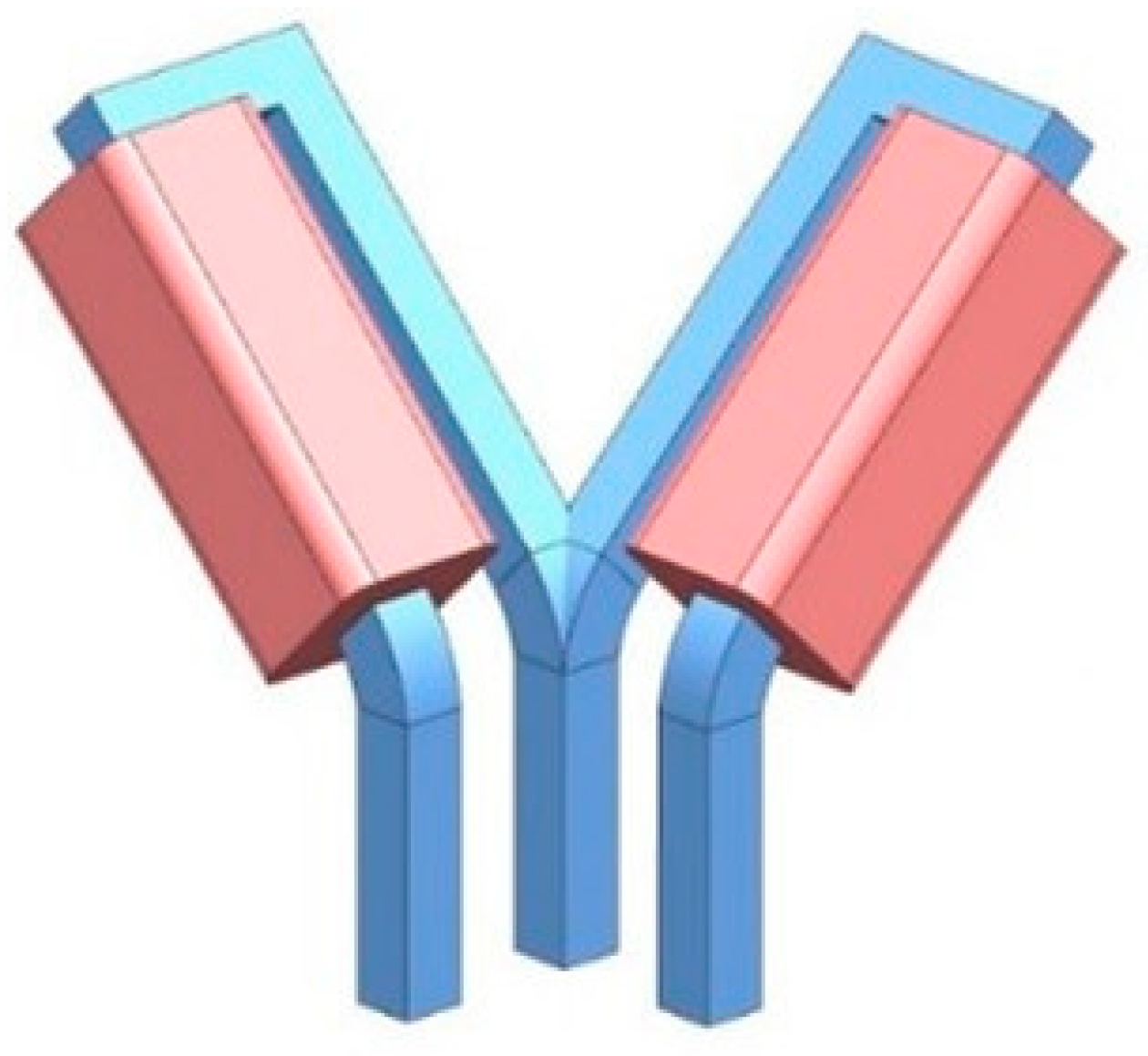 Metals 10 01199 g001