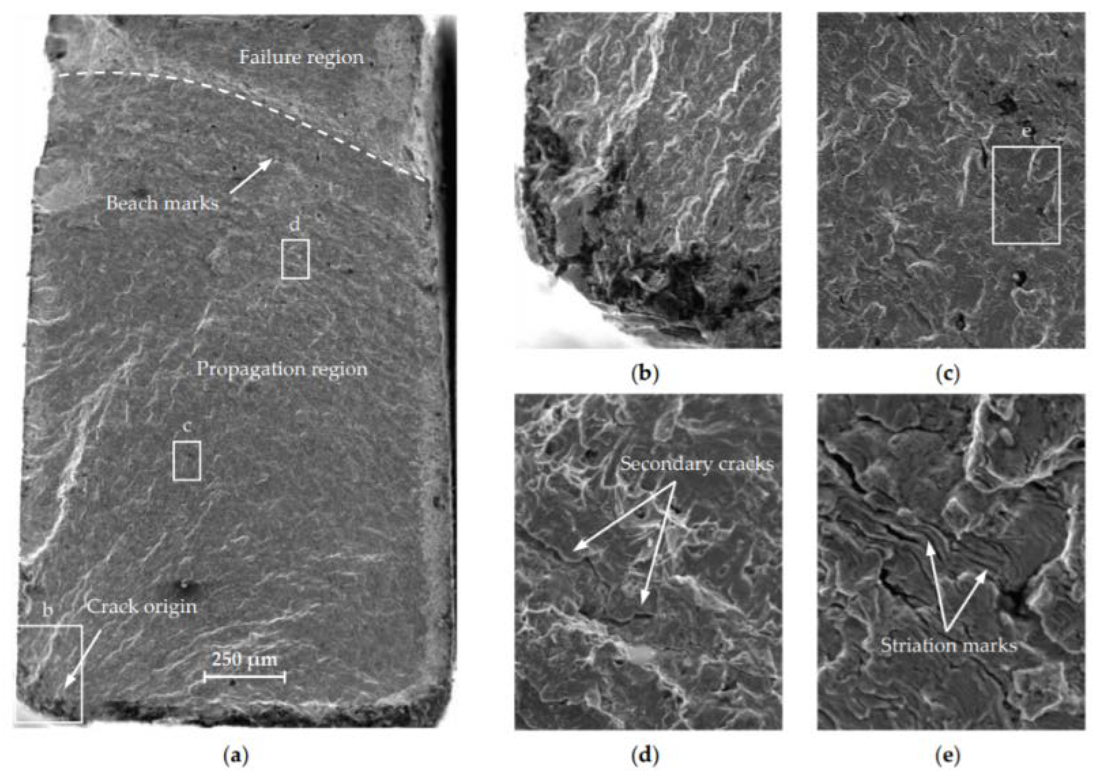 Metals 10 01200 g003