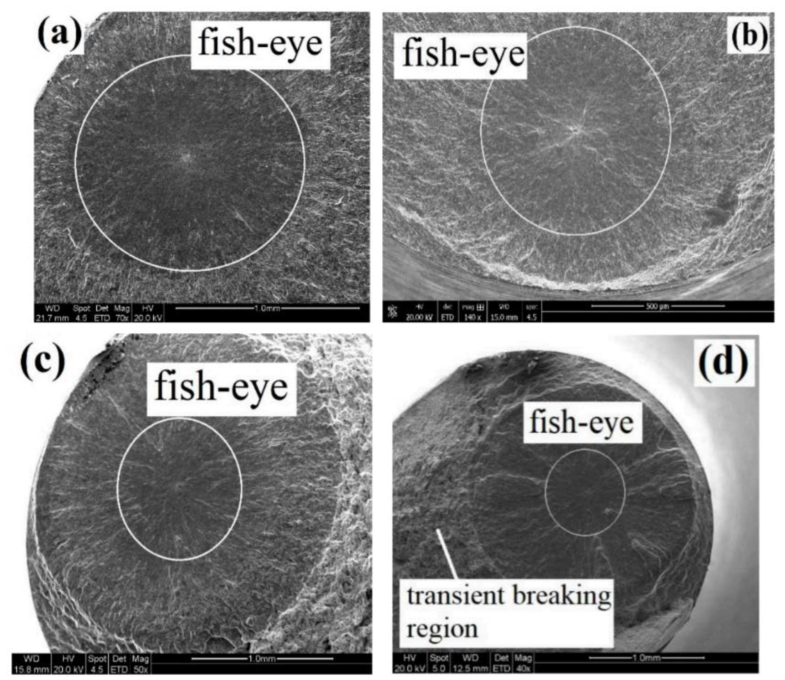 Metals 10 01200 g014